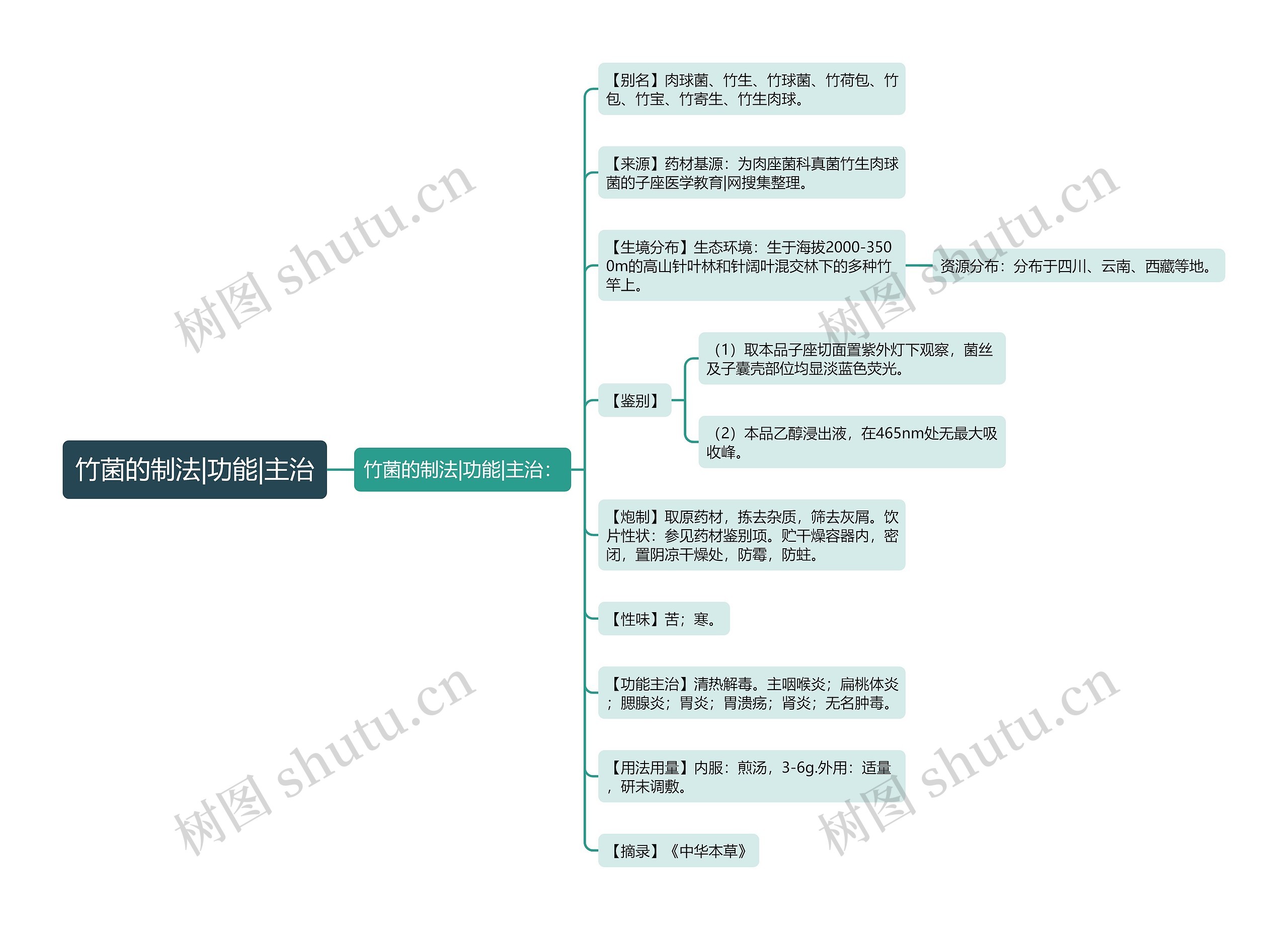 竹菌的制法|功能|主治 竹菌的制法|功能|主治