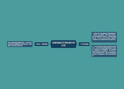 吞噬细胞在牙周防御中的作用