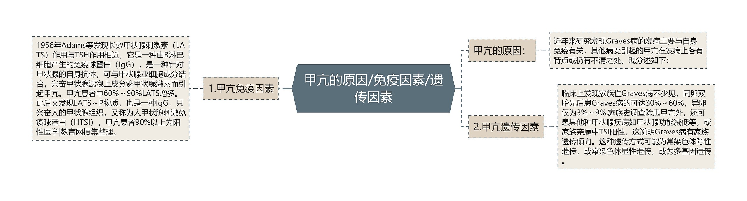 甲亢的原因/免疫因素/遗传因素思维导图