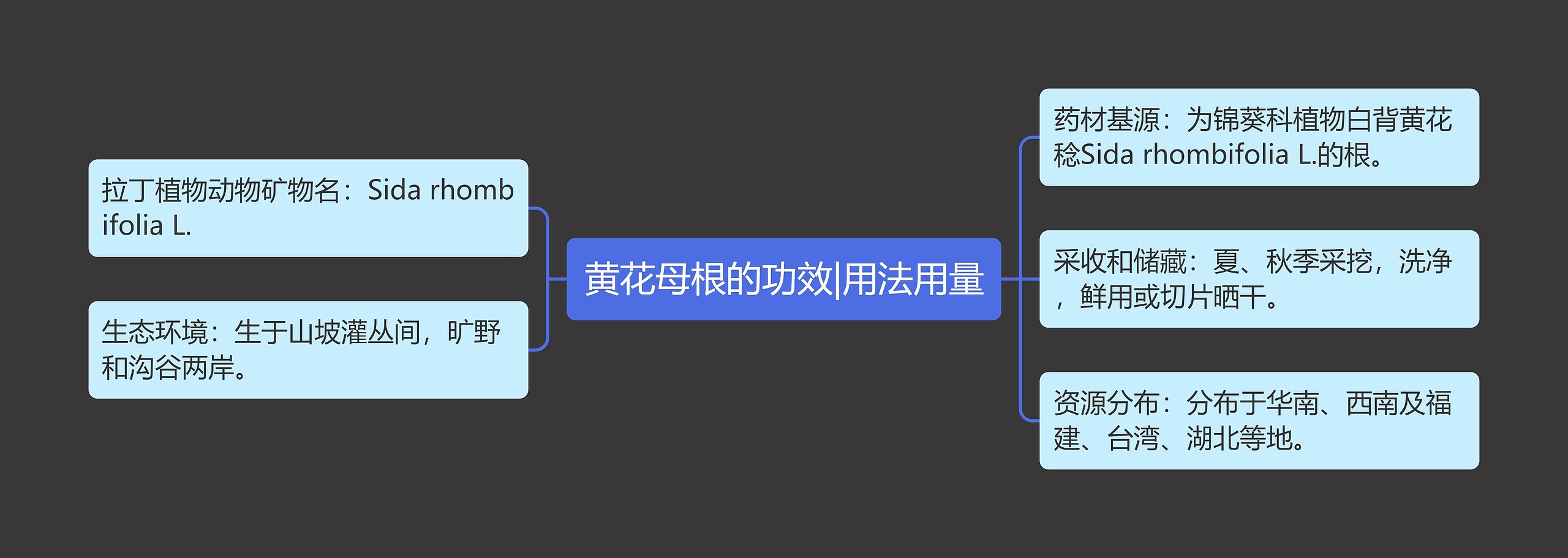 黄花母根的功效|用法用量思维导图