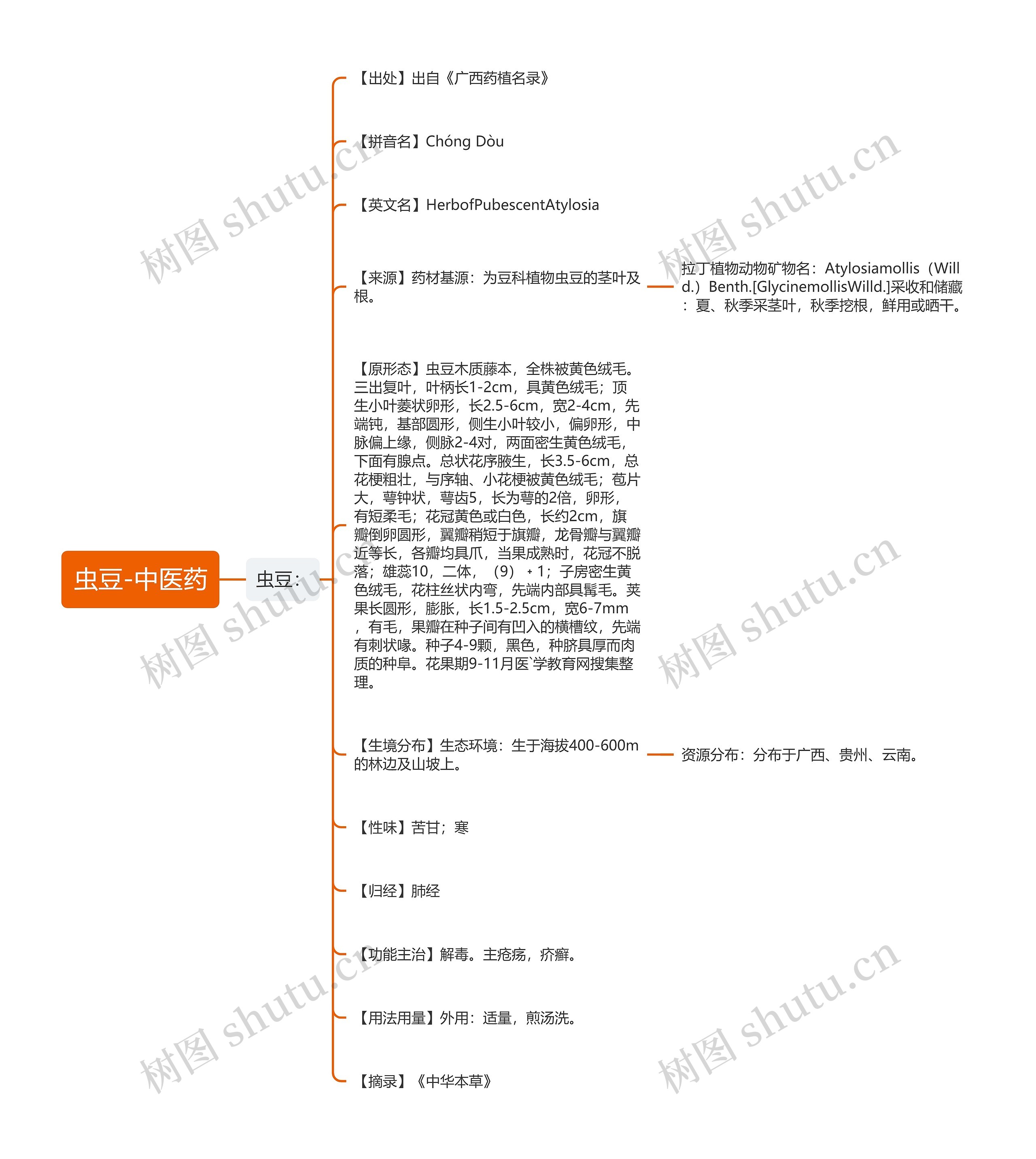 虫豆-中医药思维导图