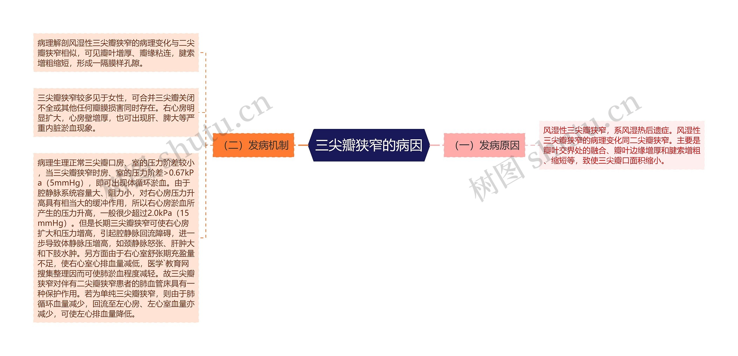 三尖瓣狭窄的病因思维导图