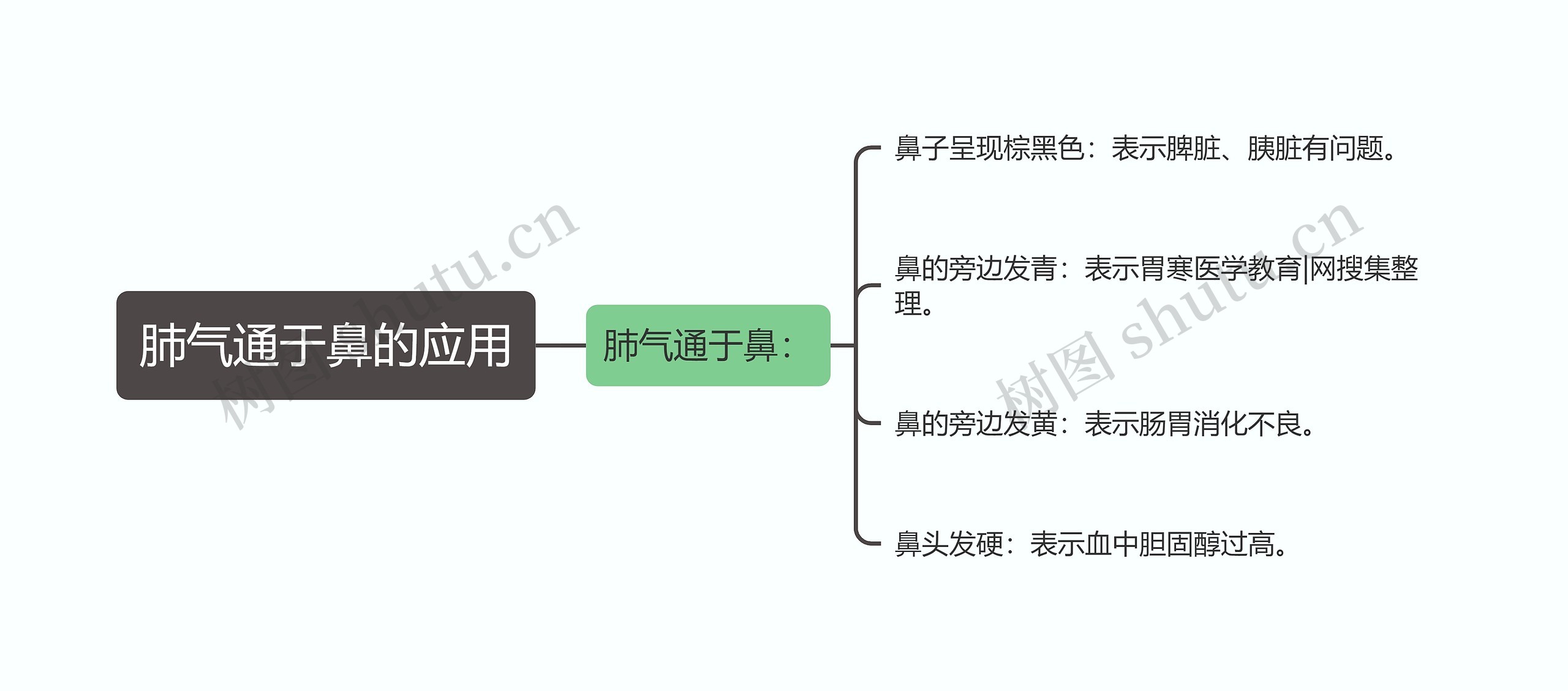 肺气通于鼻的应用思维导图