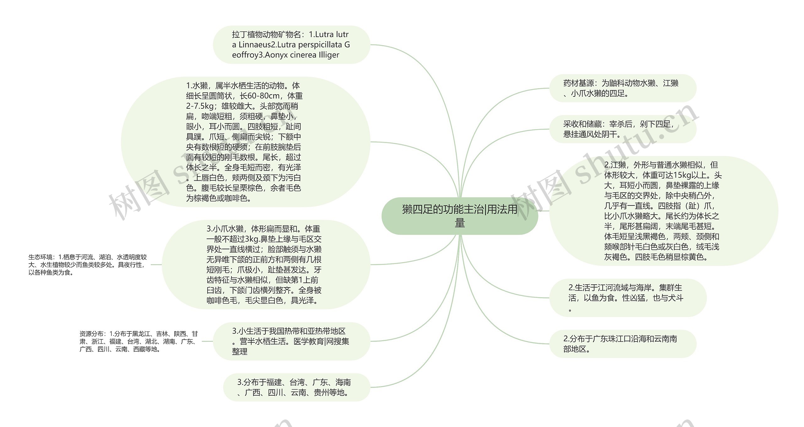 獭四足的功能主治|用法用量思维导图