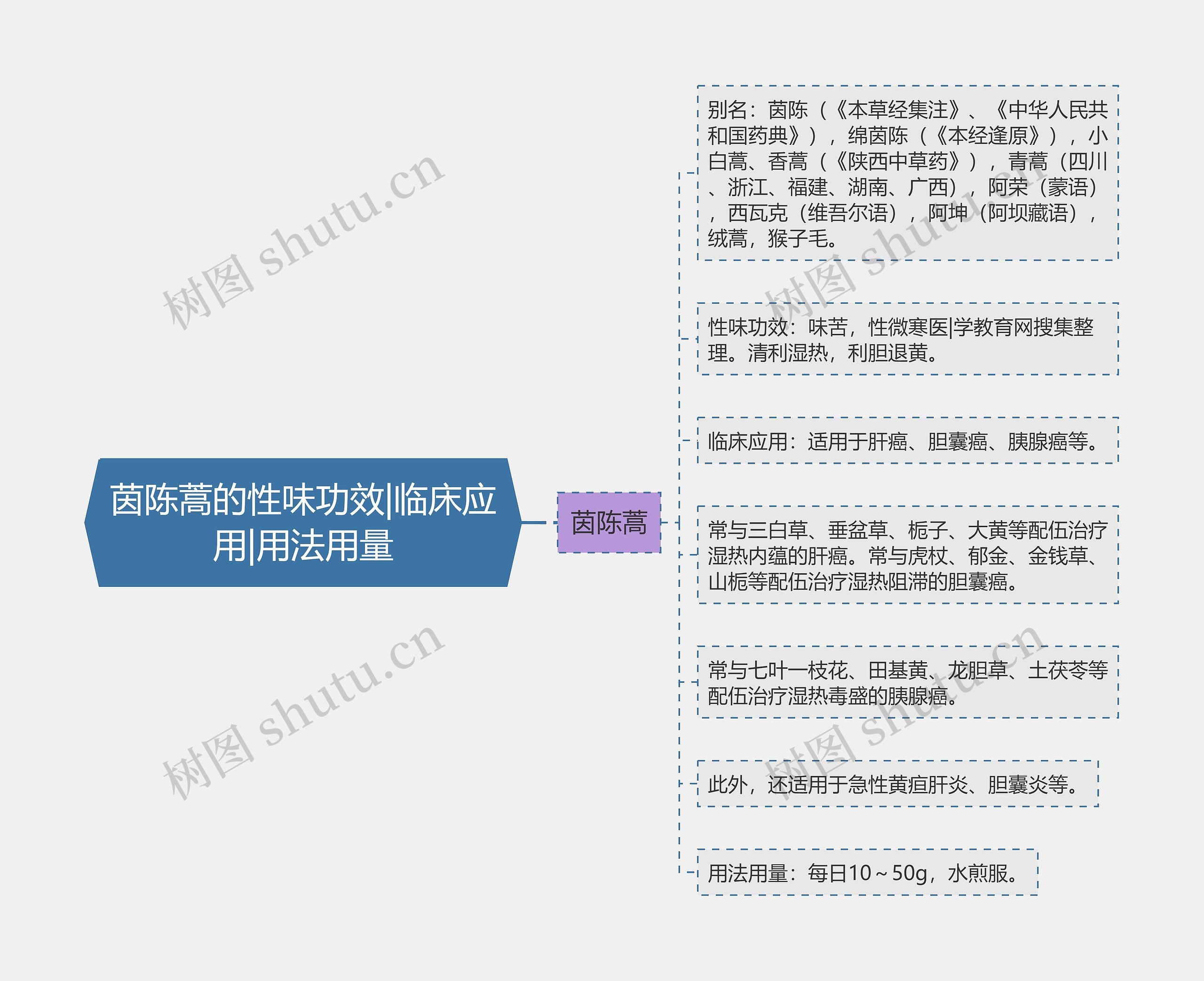 茵陈蒿的性味功效|临床应用|用法用量