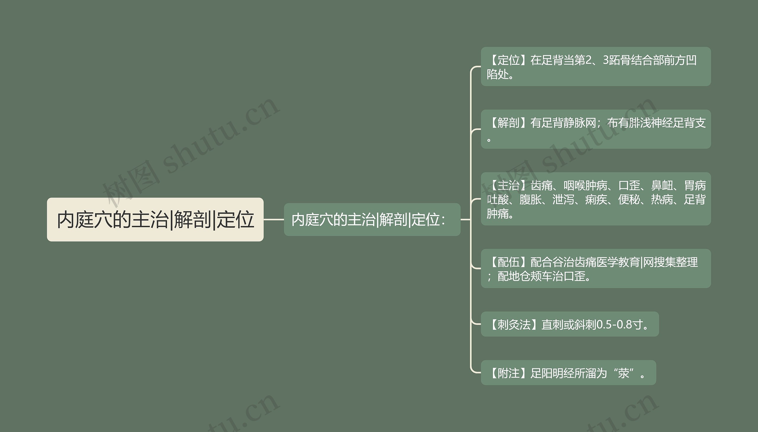 内庭穴的主治|解剖|定位