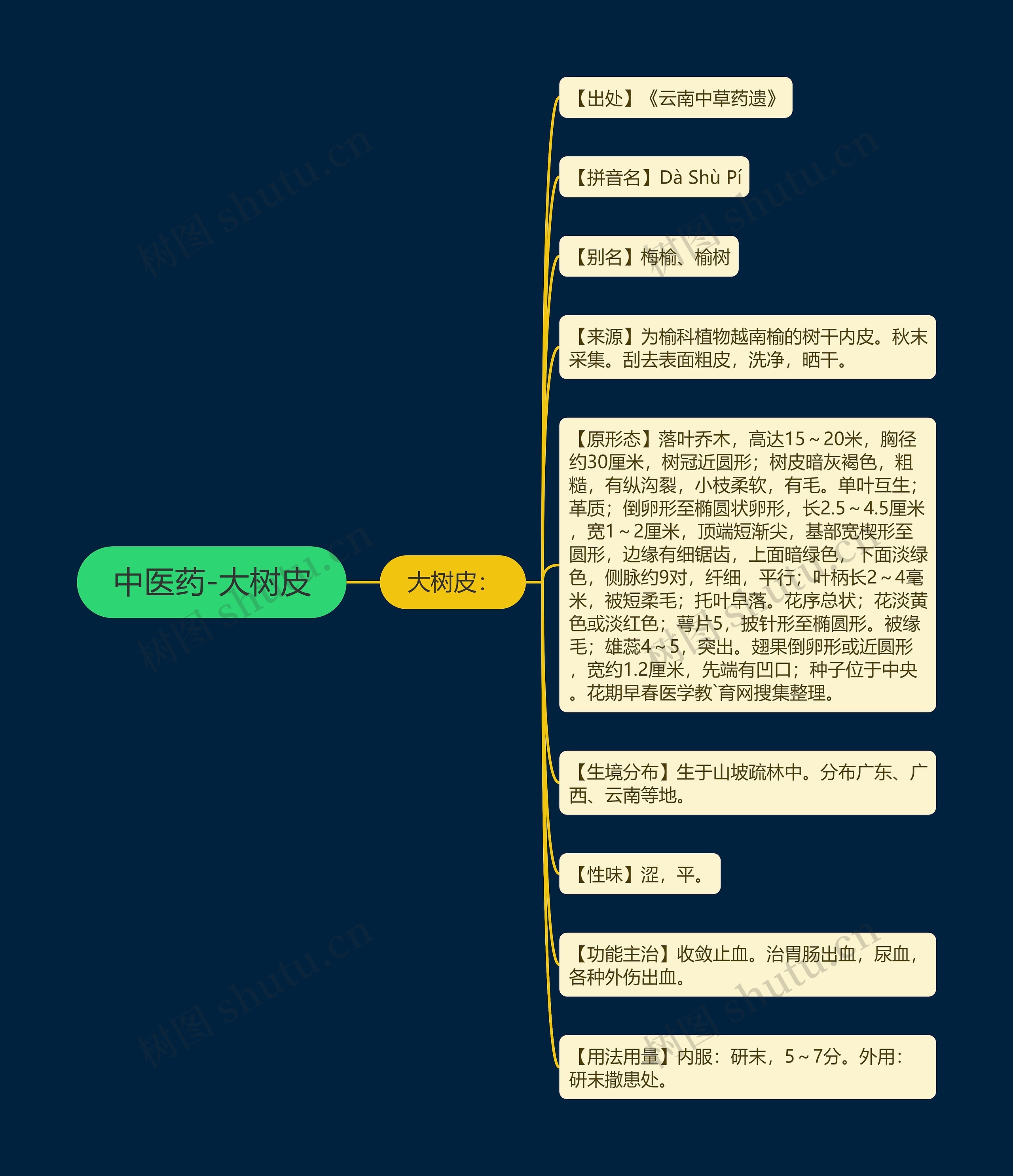 中医药-大树皮 中医药-大树皮