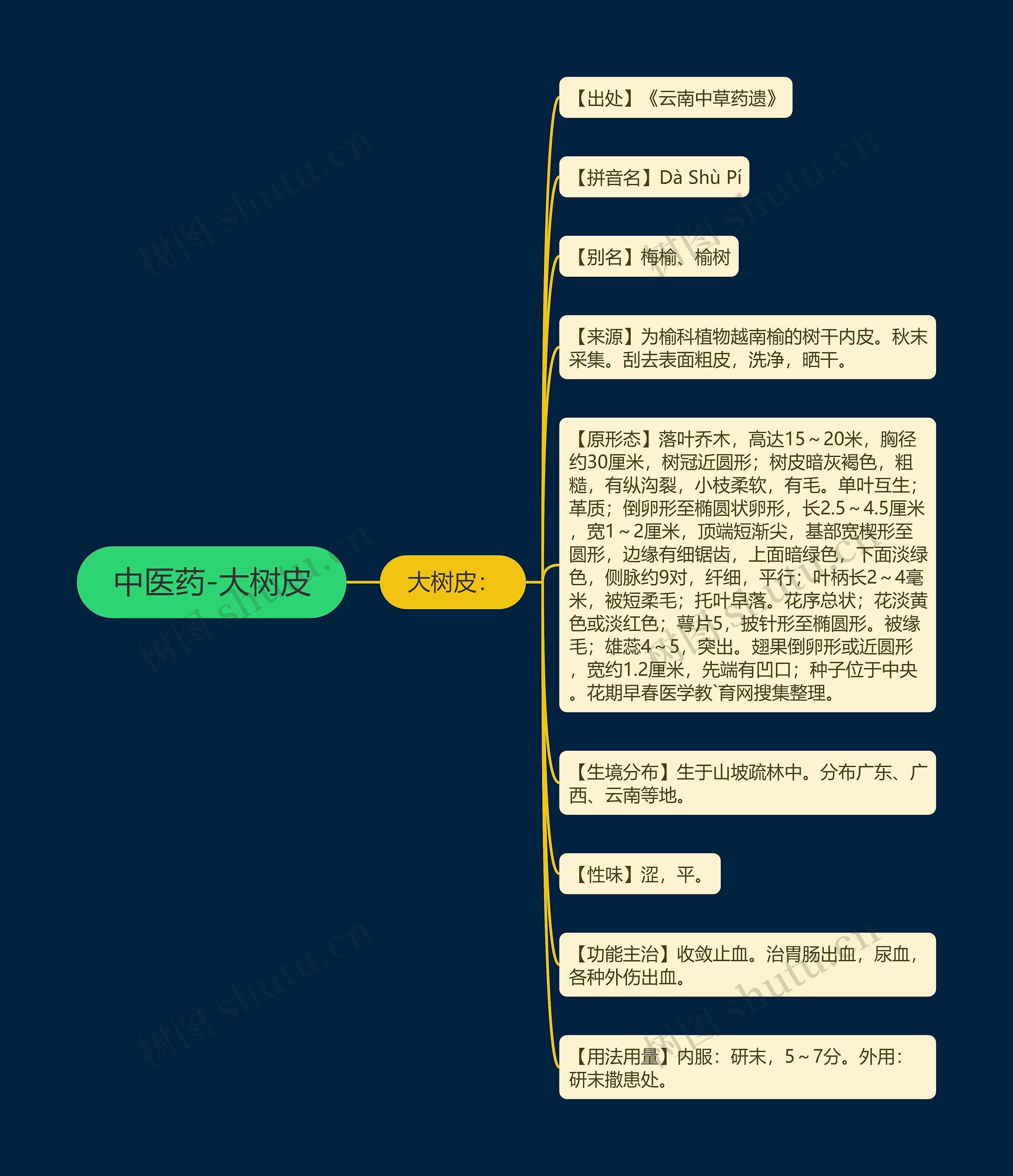 中医药-大树皮思维导图