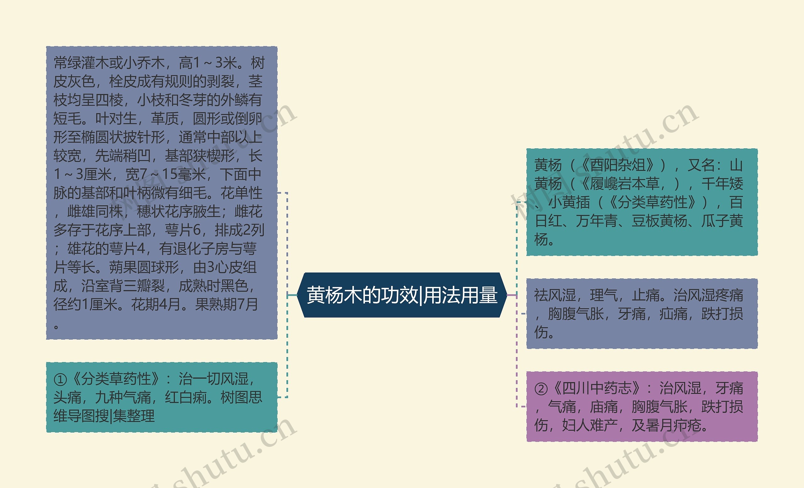 黄杨木的功效|用法用量 黄杨木的功效|用法用量