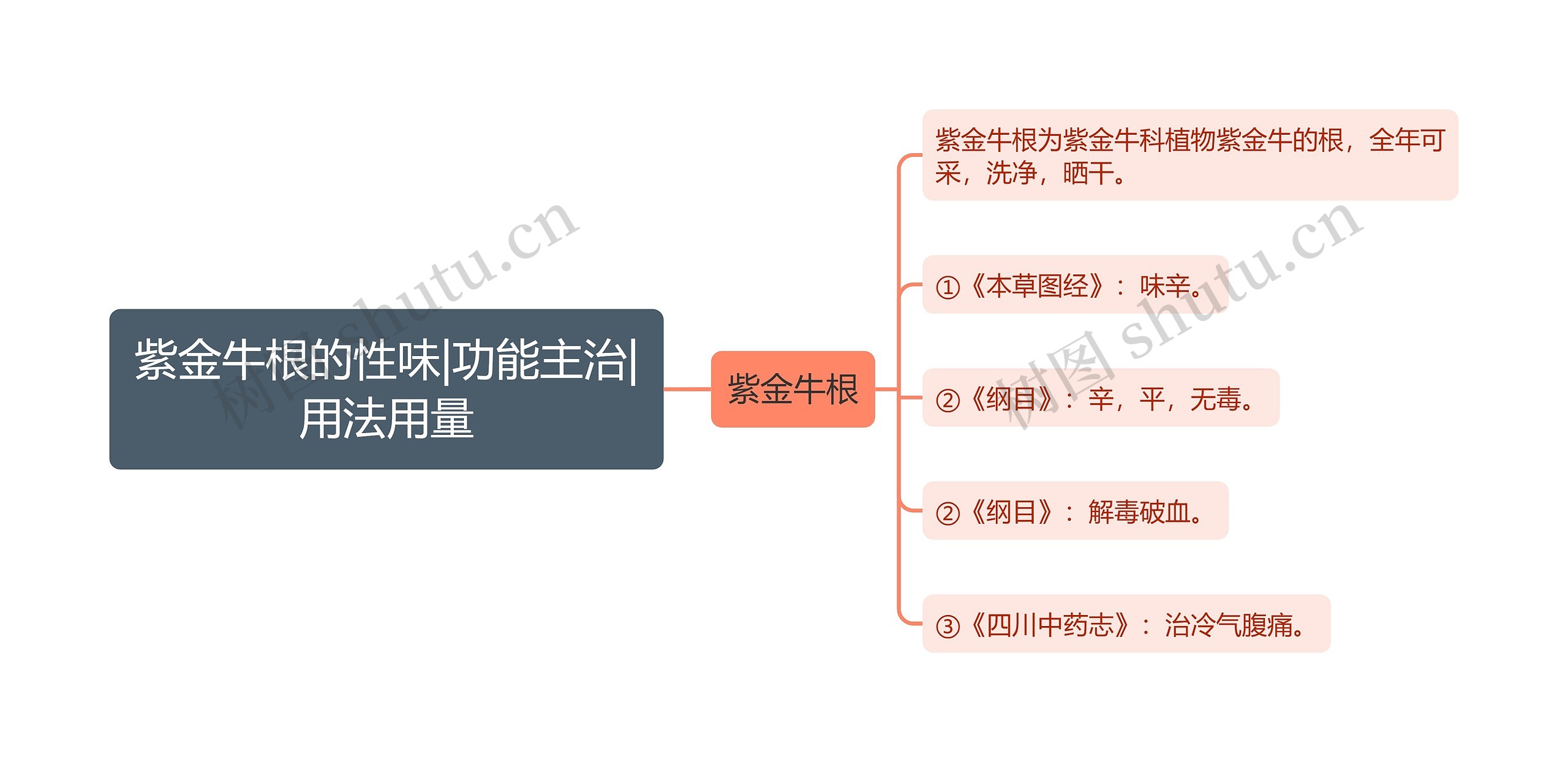 紫金牛根的性味|功能主治|用法用量思维导图