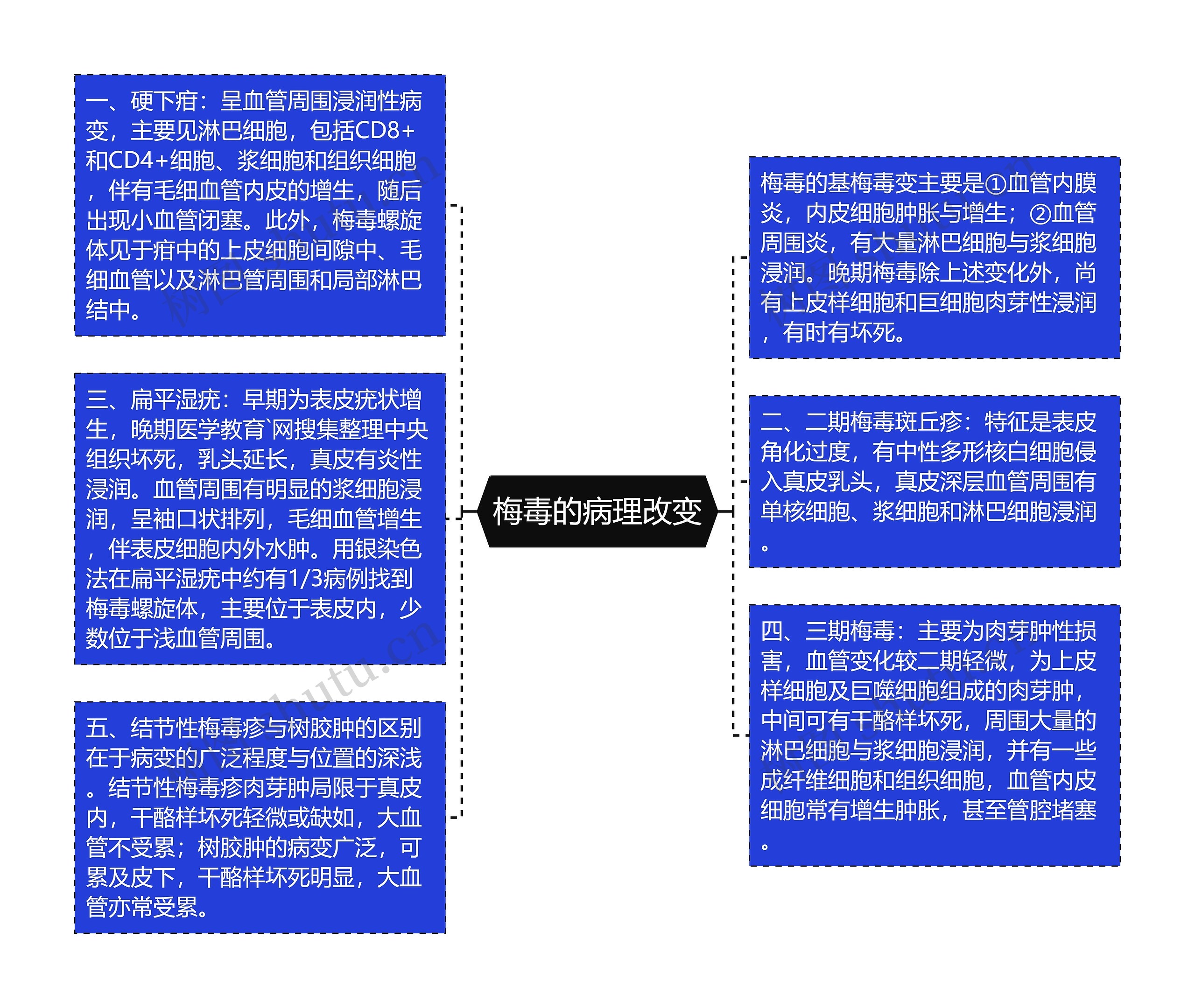 梅毒的病理改变