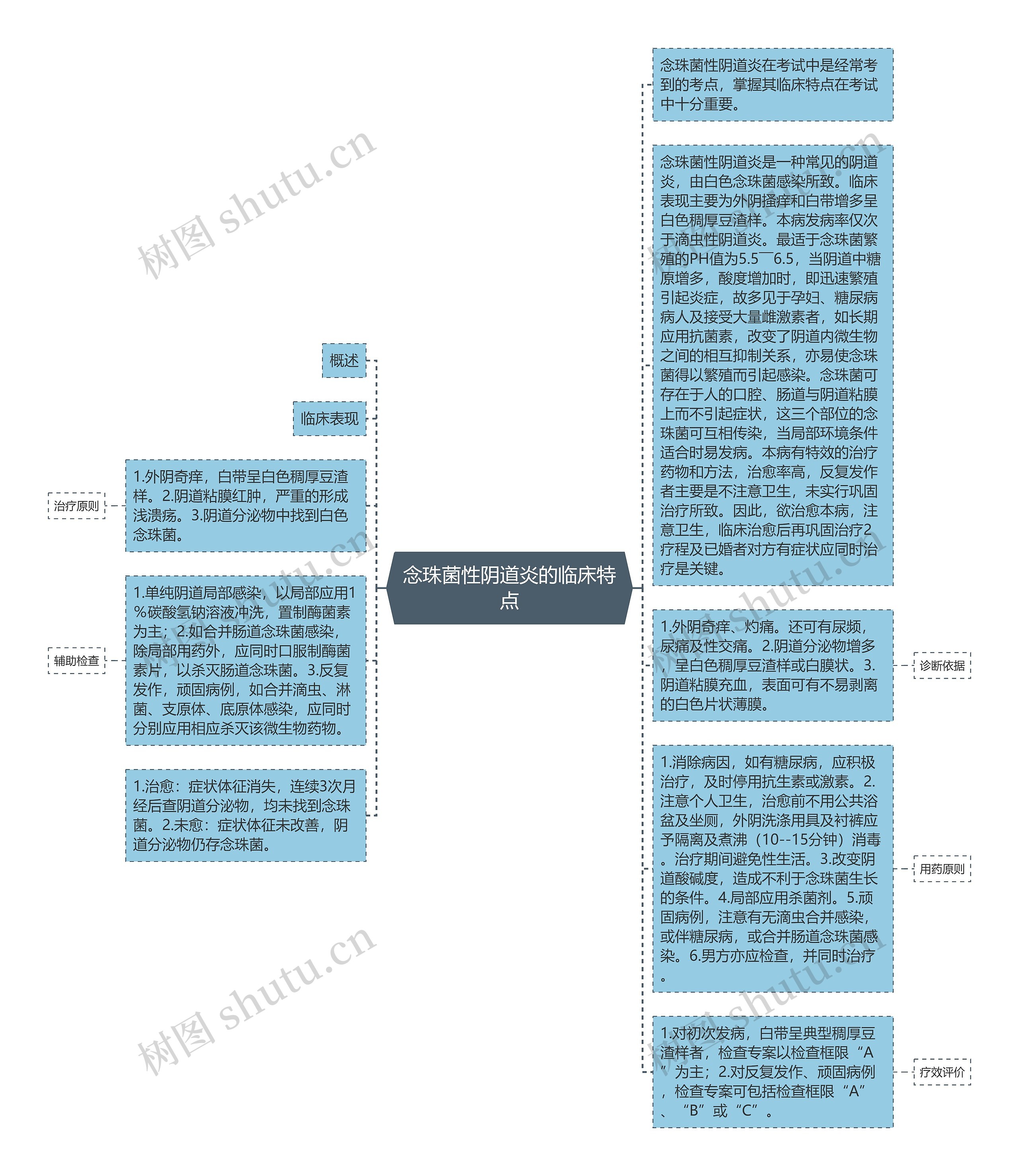 念珠菌性阴道炎的临床特点