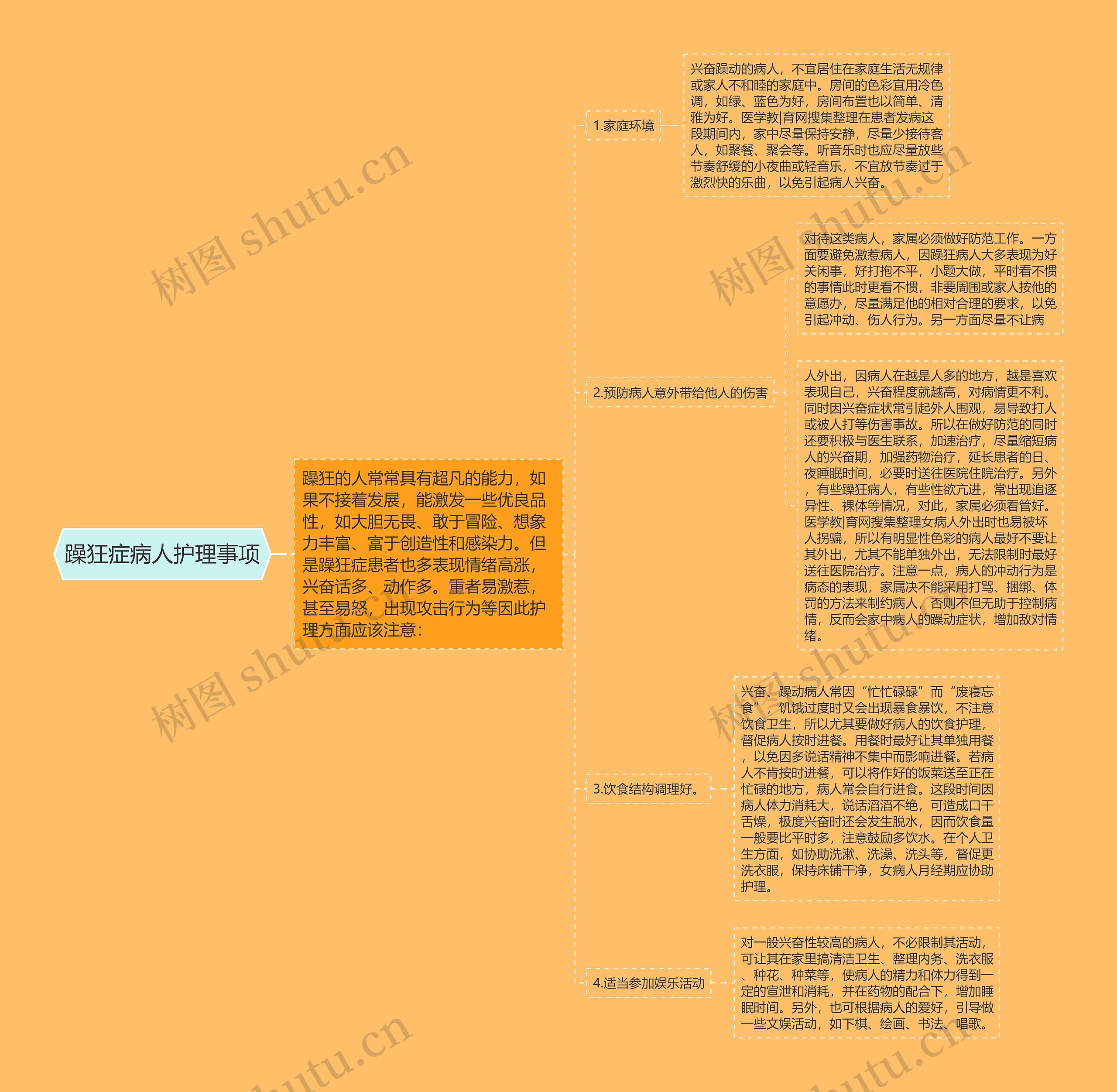 躁狂症病人护理事项