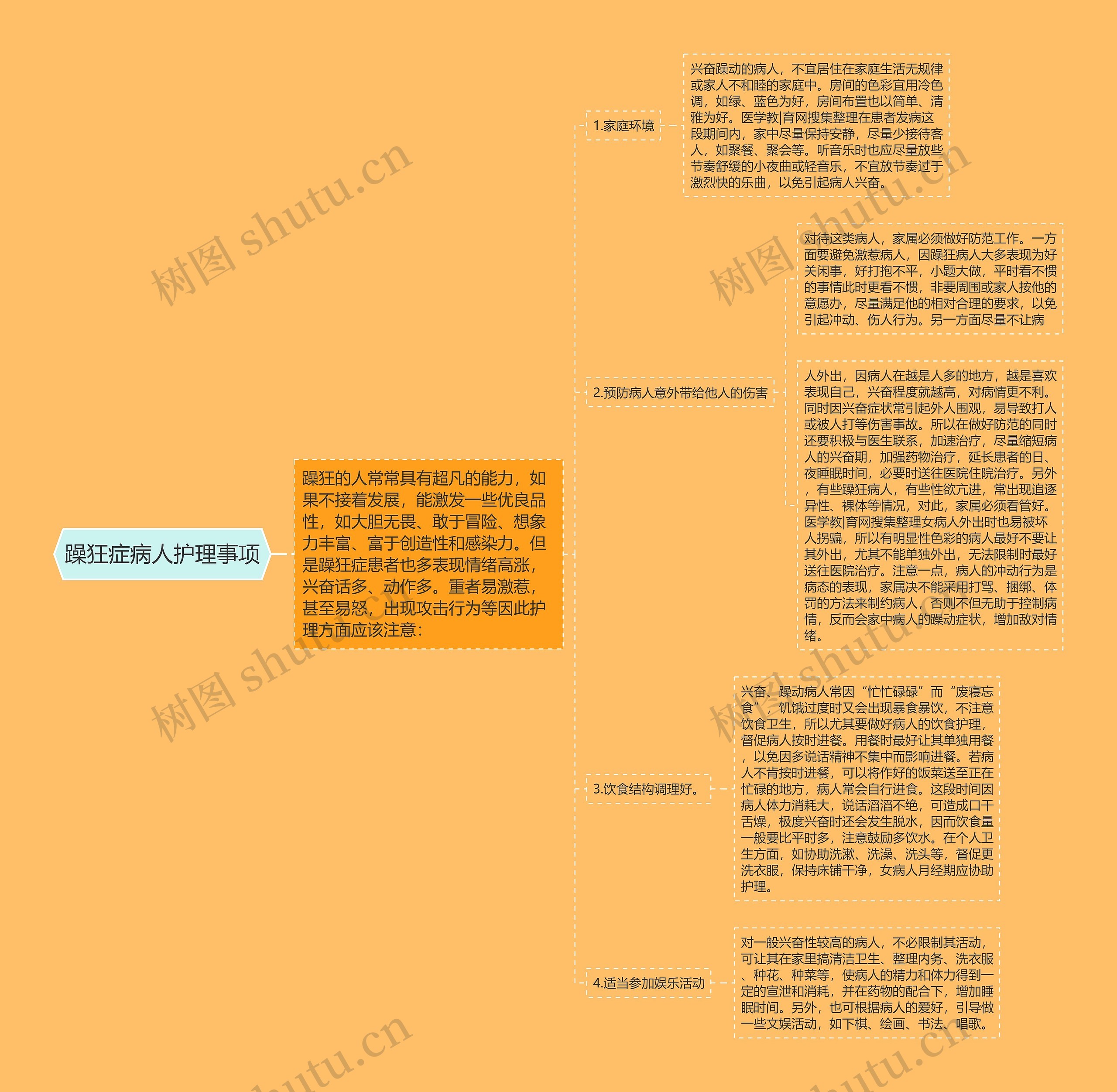 躁狂症病人护理事项思维导图