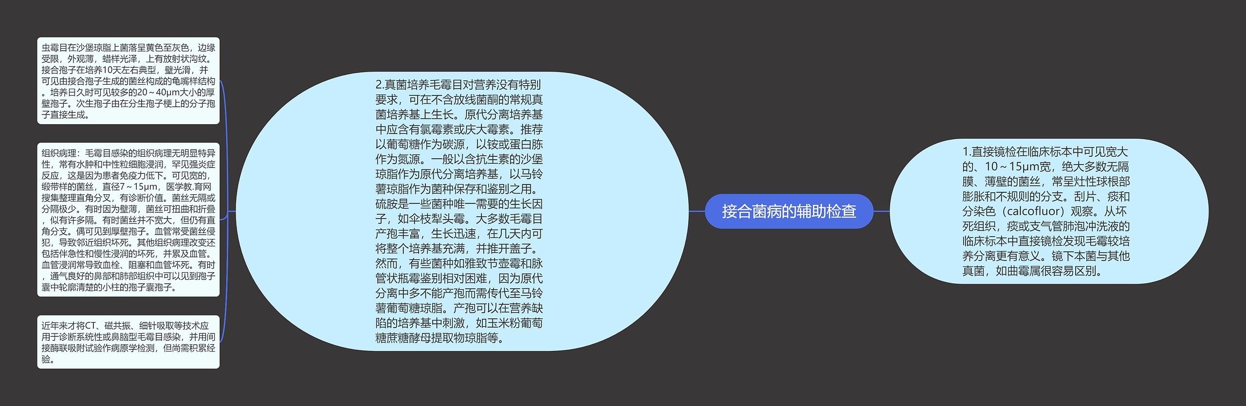 接合菌病的辅助检查