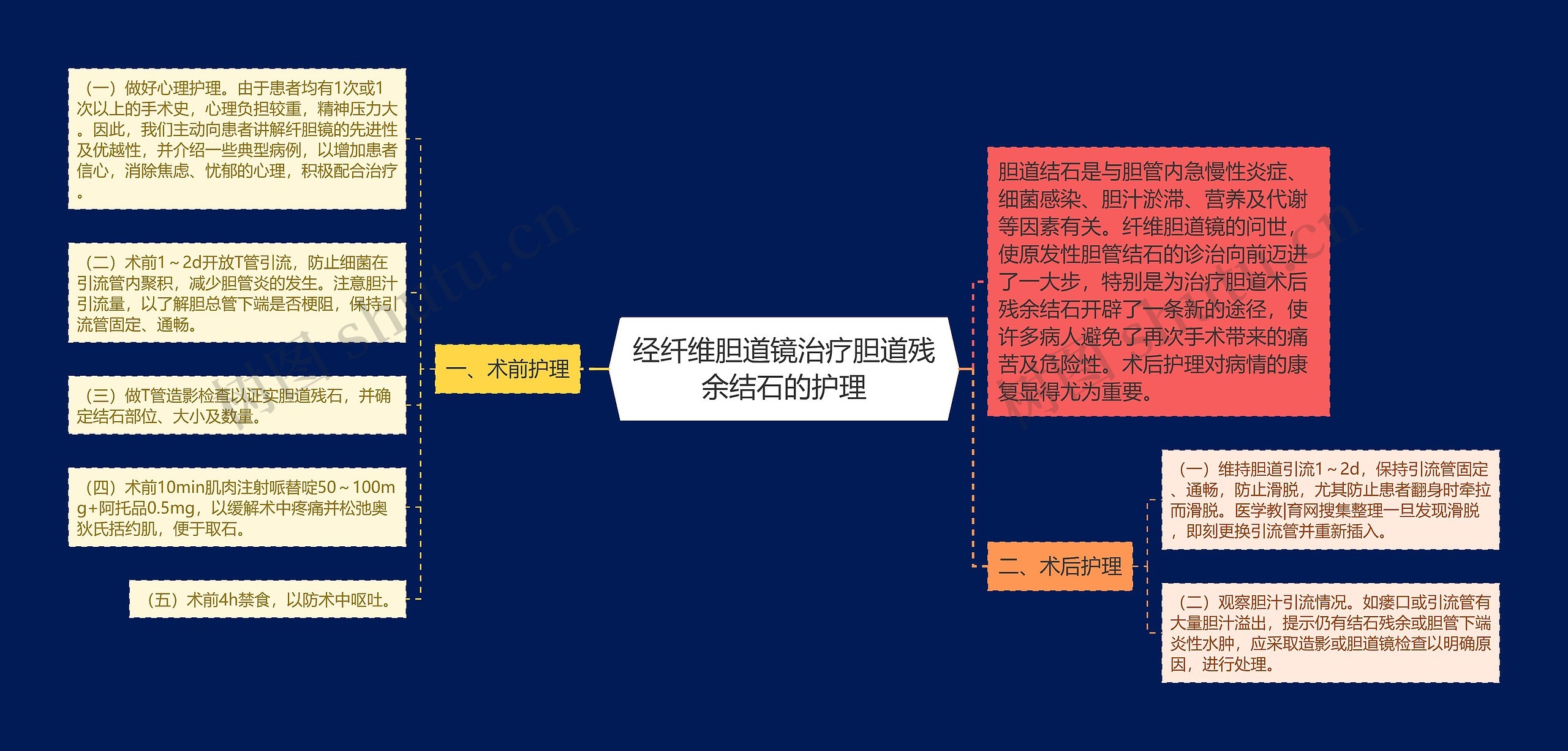 经纤维胆道镜治疗胆道残余结石的护理思维导图