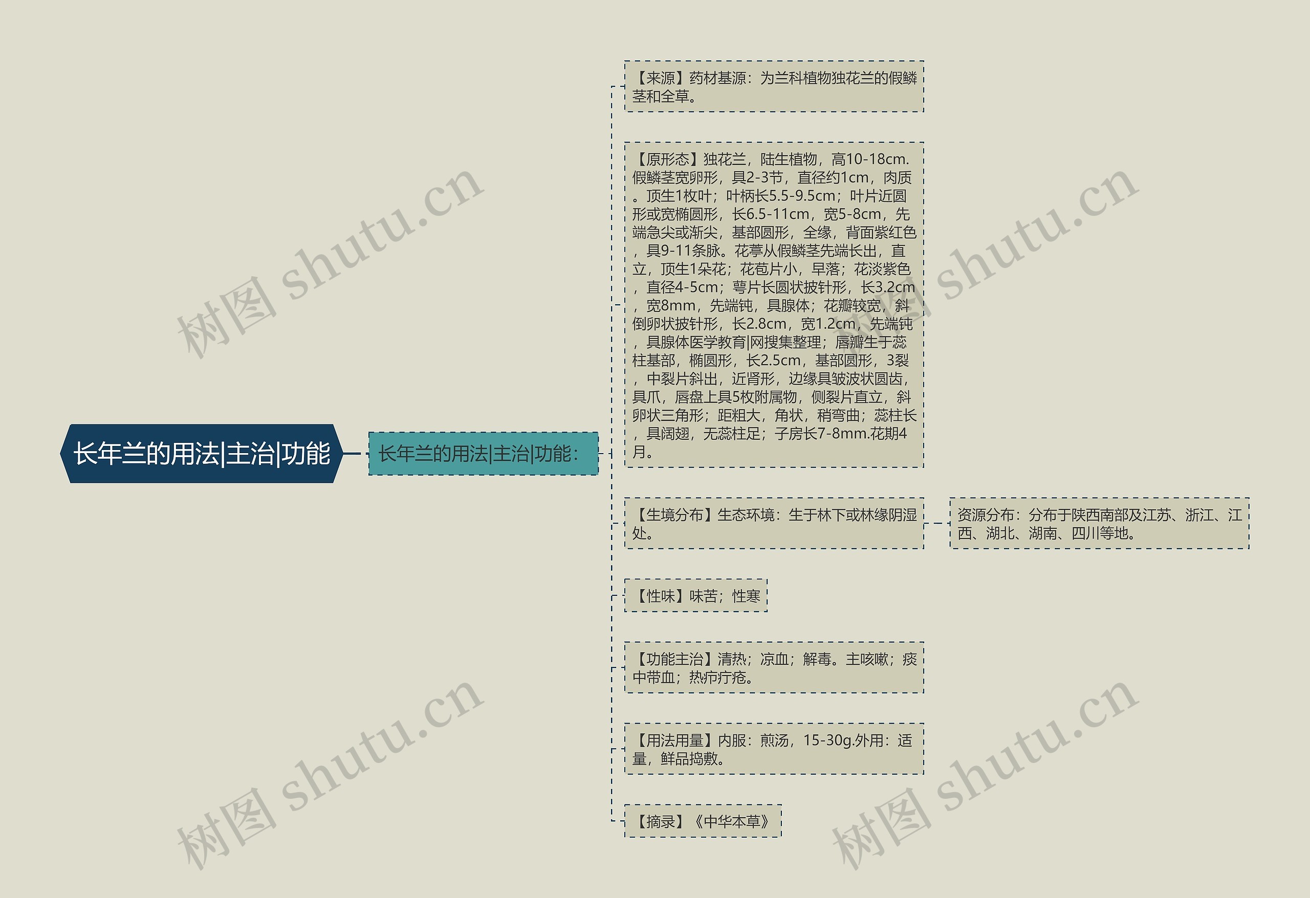 长年兰的用法|主治|功能思维导图