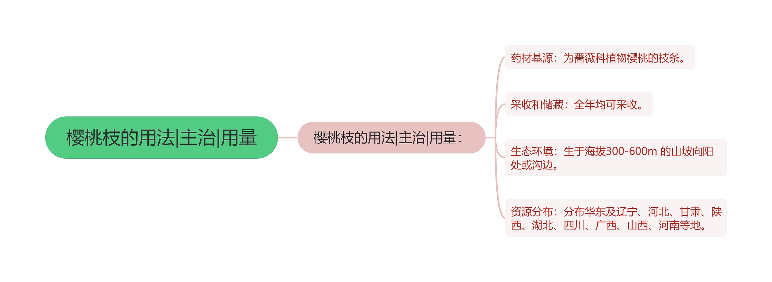 樱桃枝的用法|主治|用量