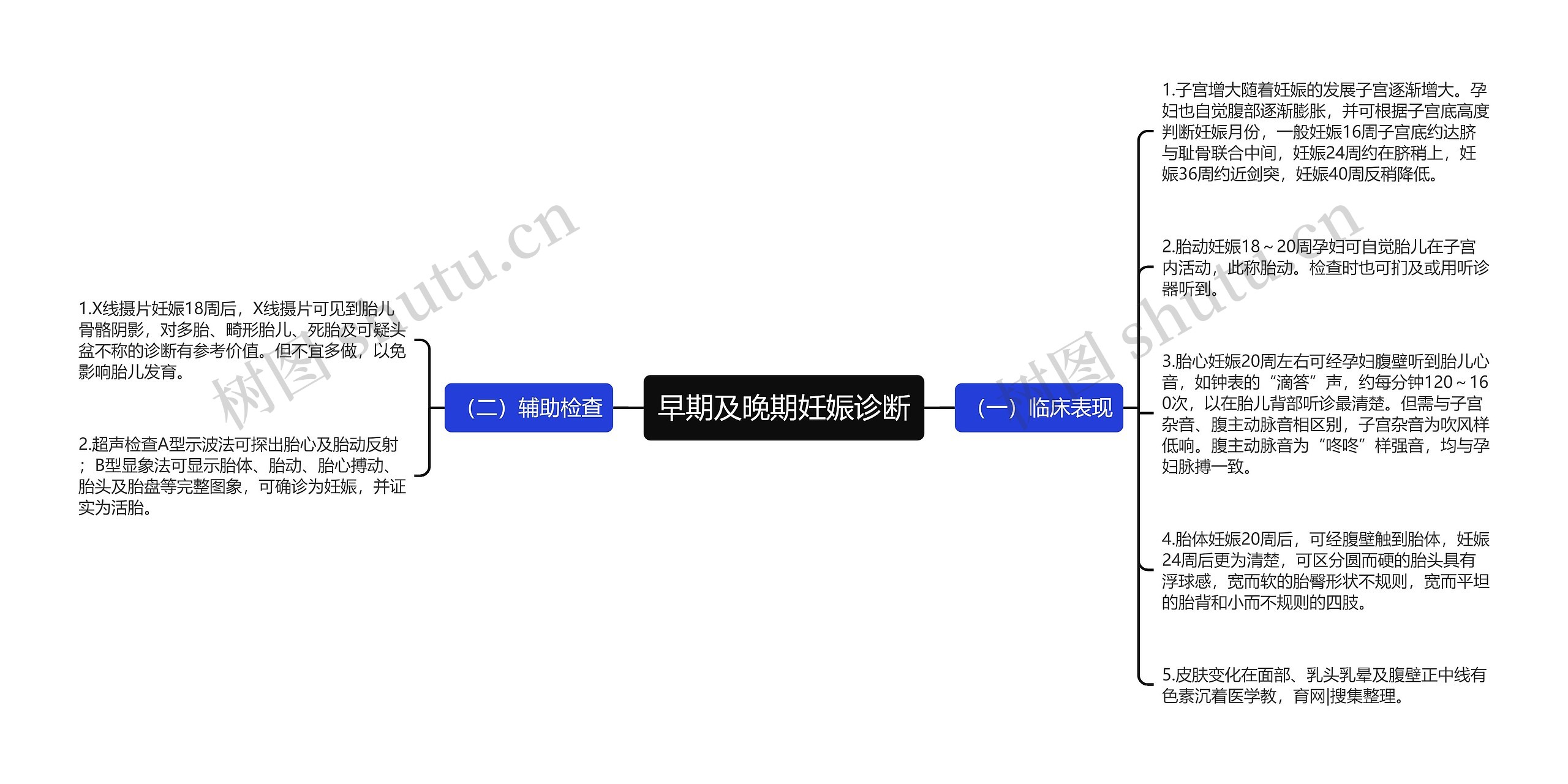 早期及晚期妊娠诊断 早期及晚期妊娠诊断