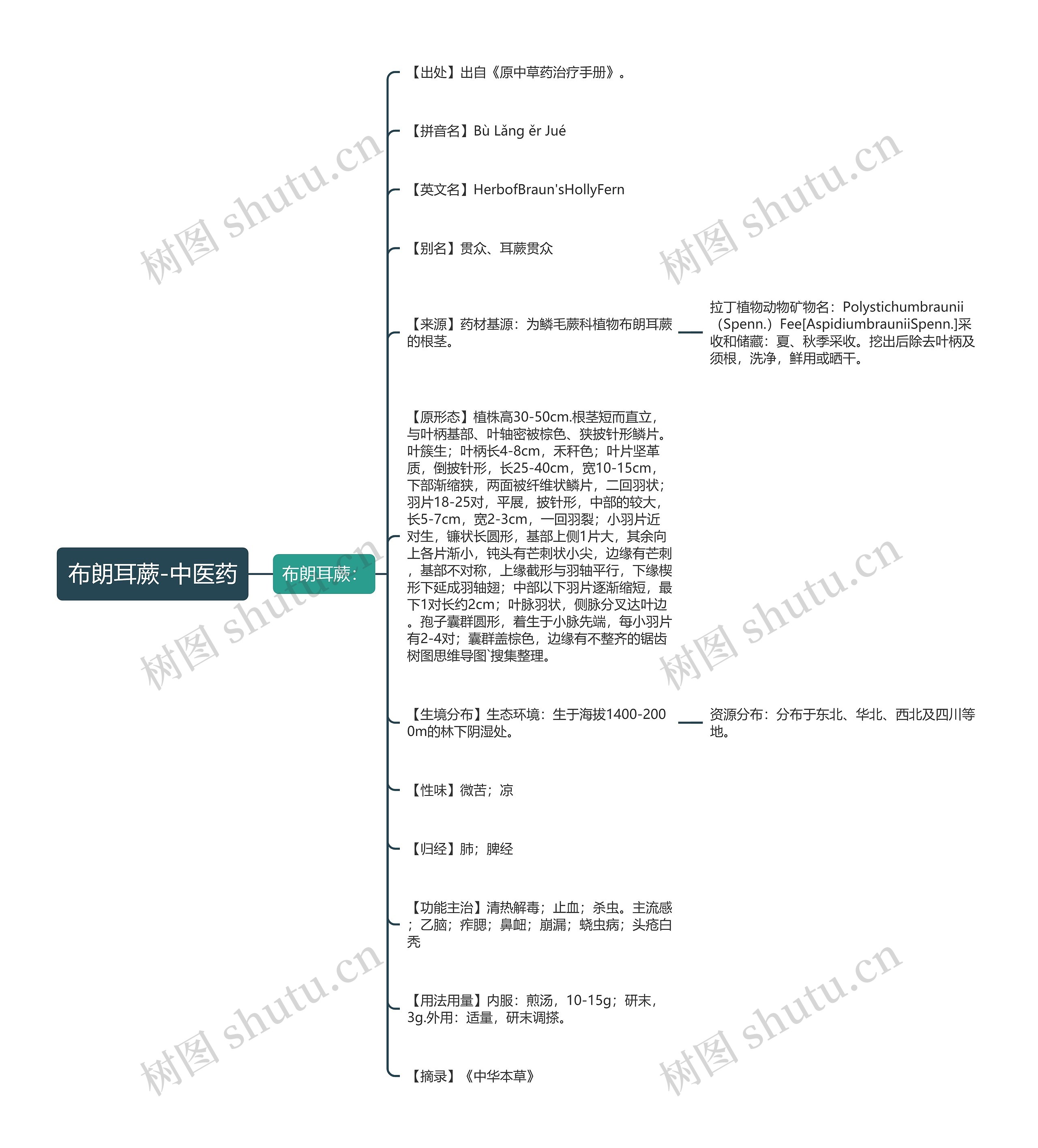 布朗耳蕨-中医药 布朗耳蕨-中医药