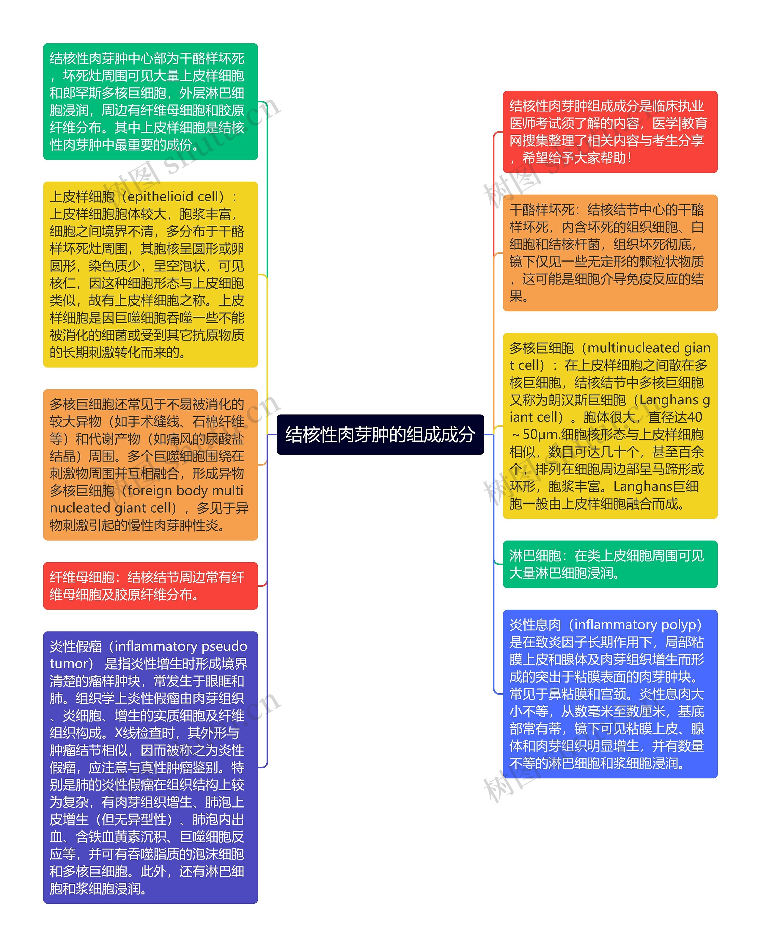 结核性肉芽肿的组成成分思维导图