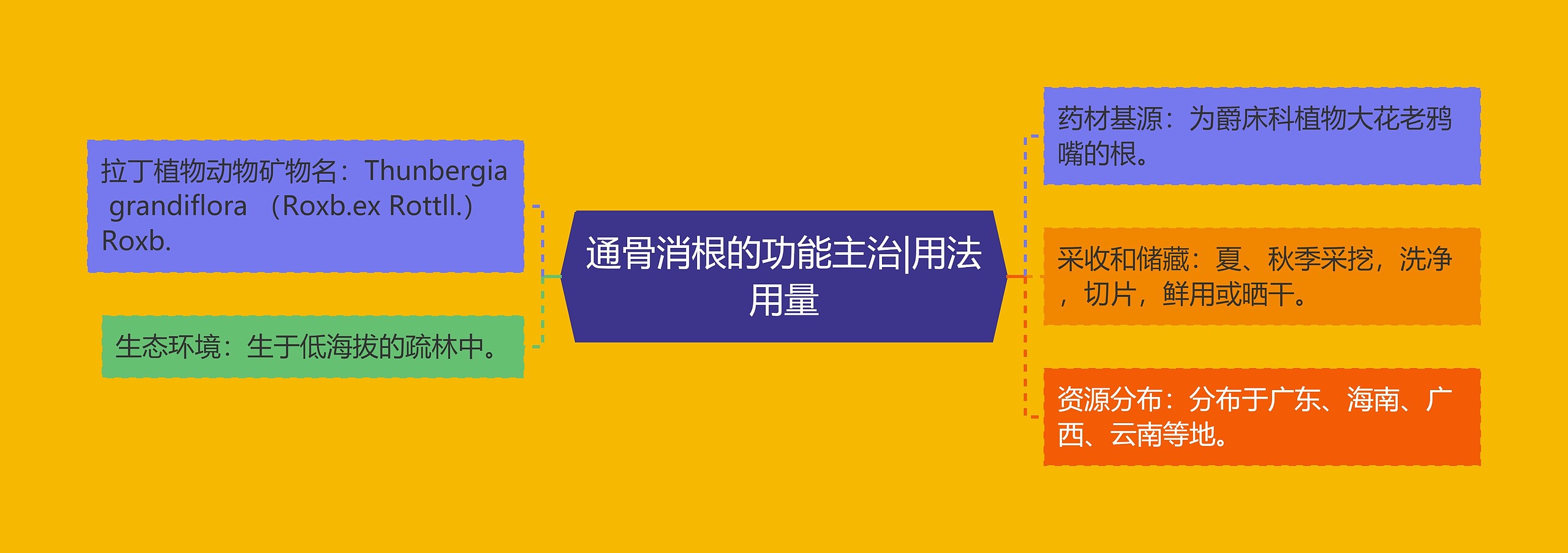 通骨消根的功能主治|用法用量 通骨消根的功能主治|用法用量
