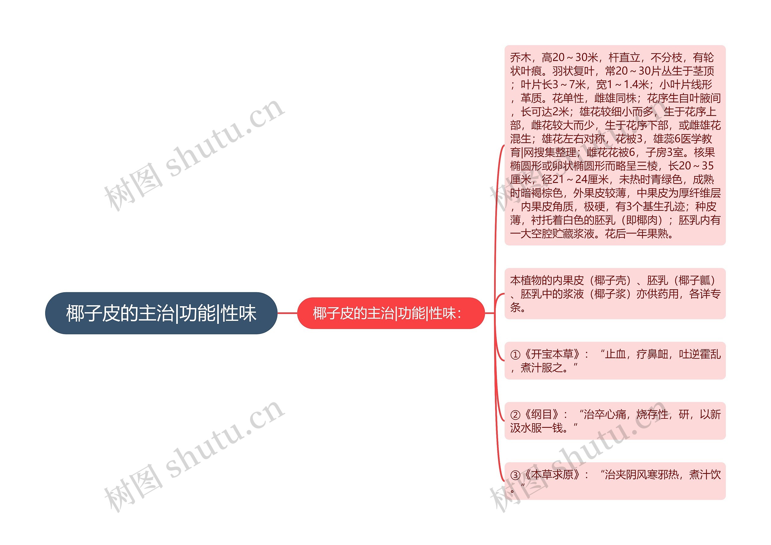 椰子皮的主治|功能|性味 椰子皮的主治|功能|性味