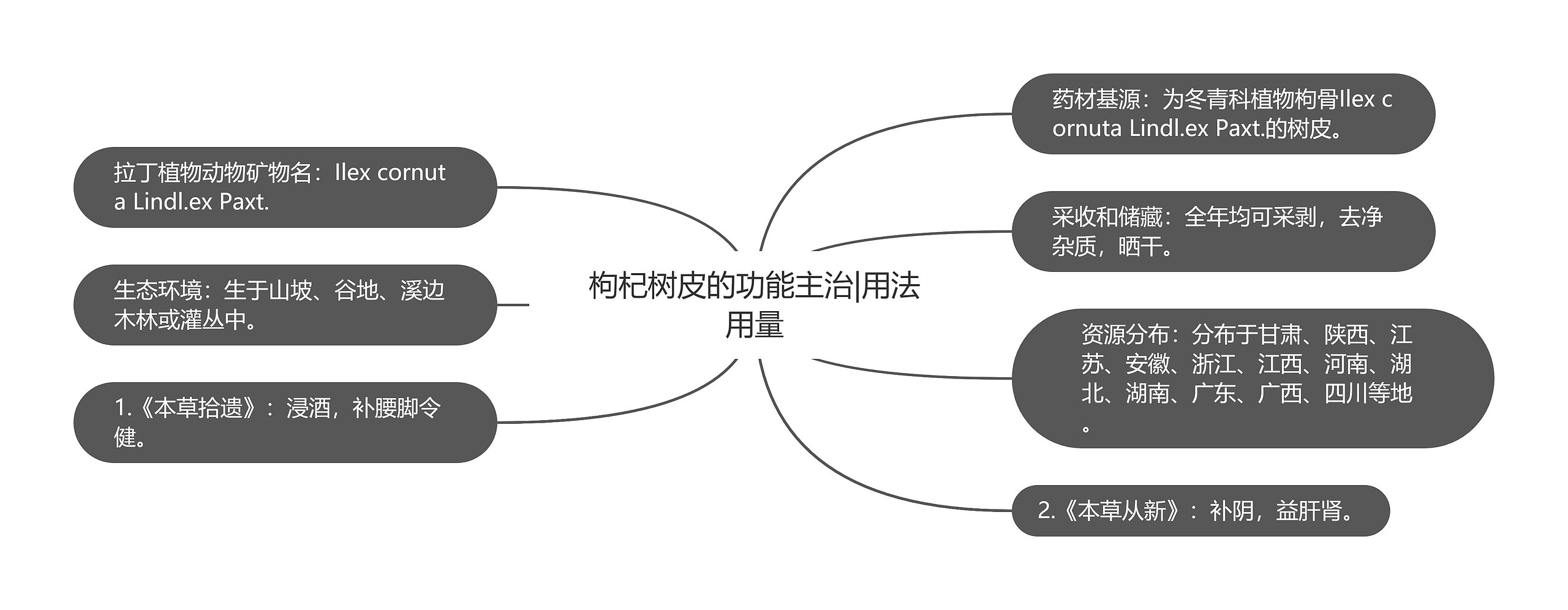 枸杞树皮的功能主治|用法用量思维导图