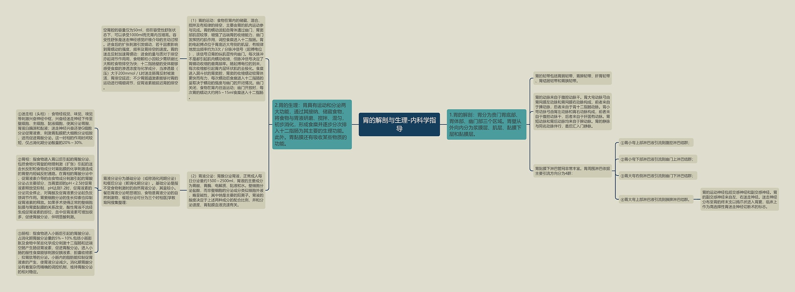 胃的解剖与生理-内科学指导 胃的解剖与生理-内科学指导