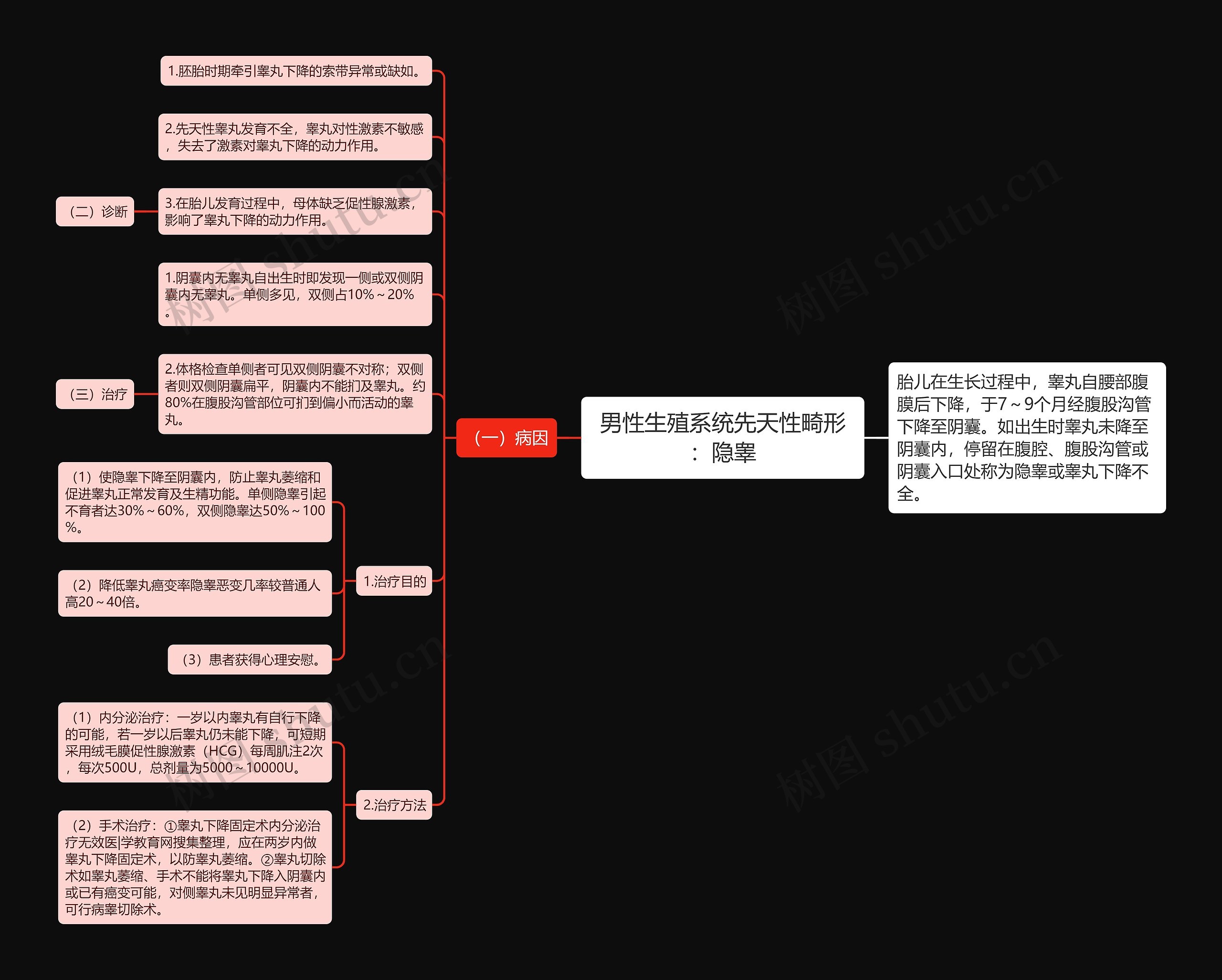 男性生殖系统先天性畸形：隐睾思维导图