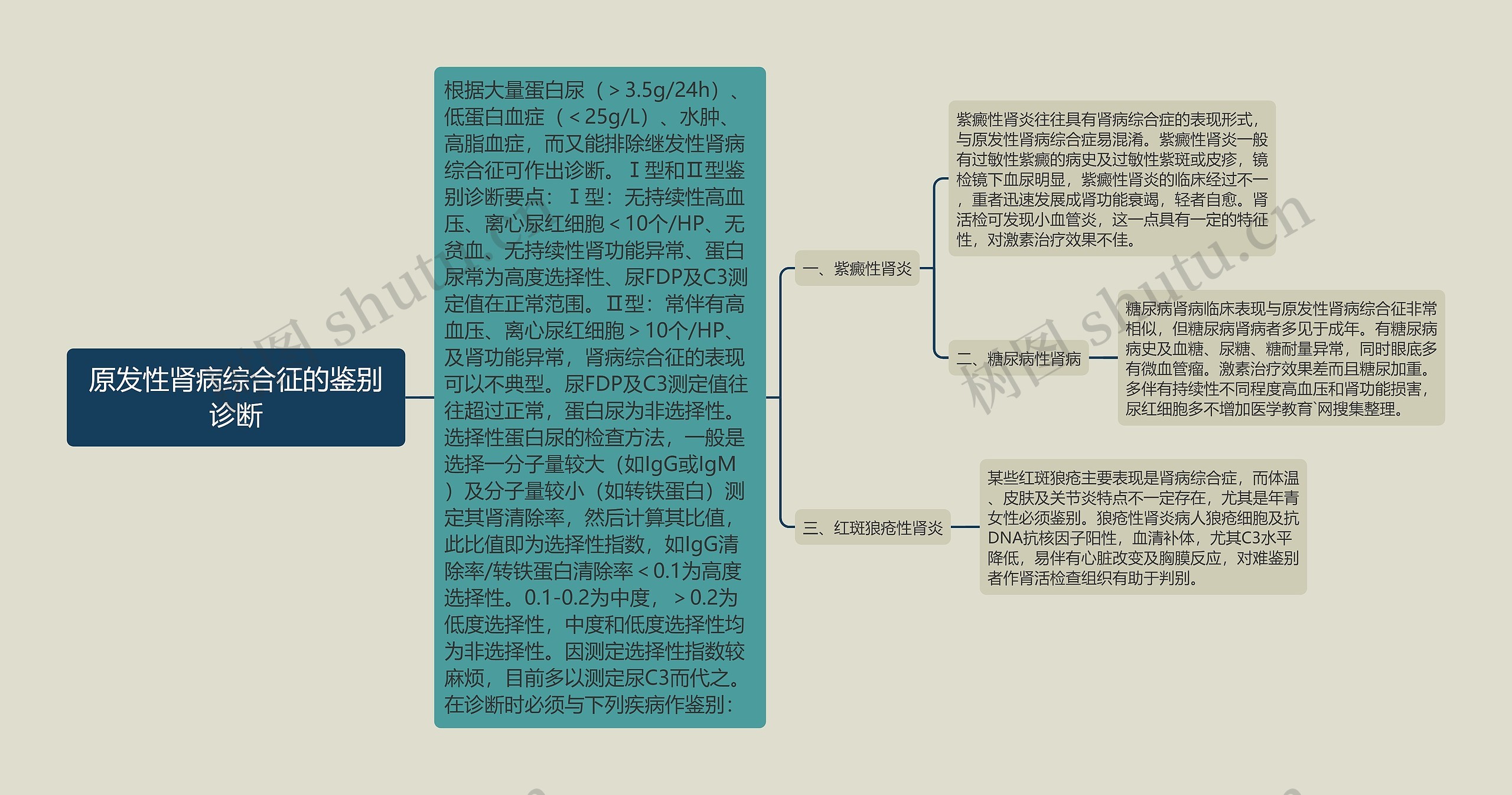 原发性肾病综合征的鉴别诊断