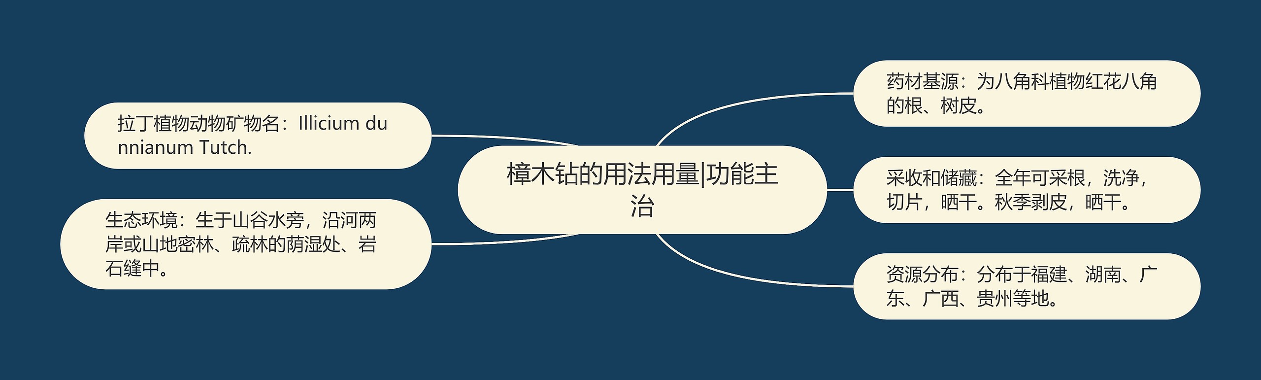 樟木钻的用法用量|功能主治 樟木钻的用法用量|功能主治