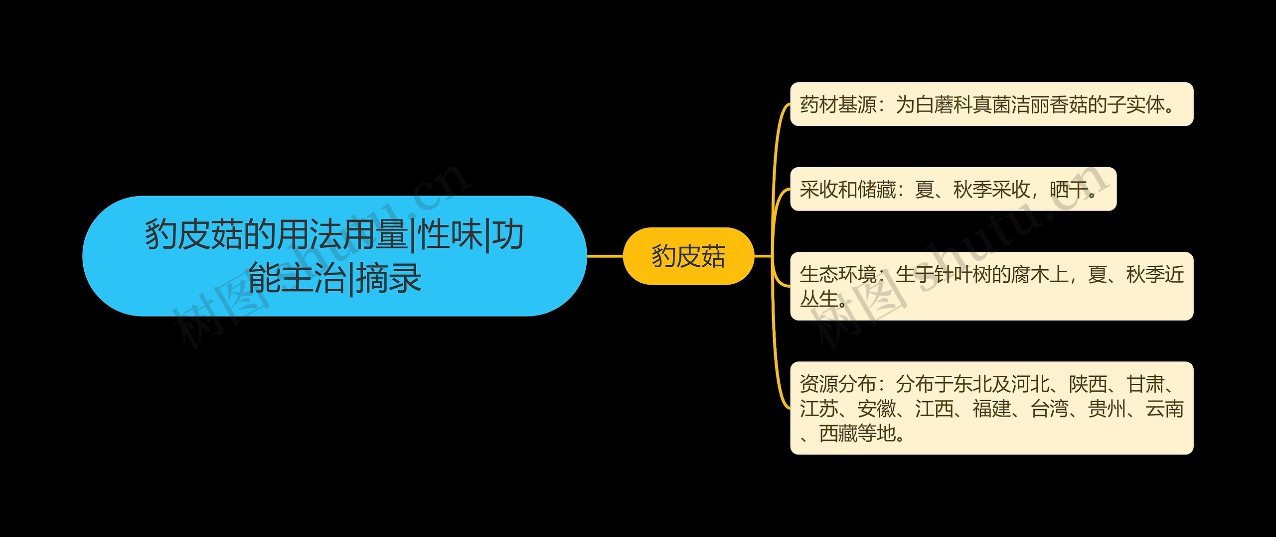 豹皮菇的用法用量|性味|功能主治|摘录思维导图