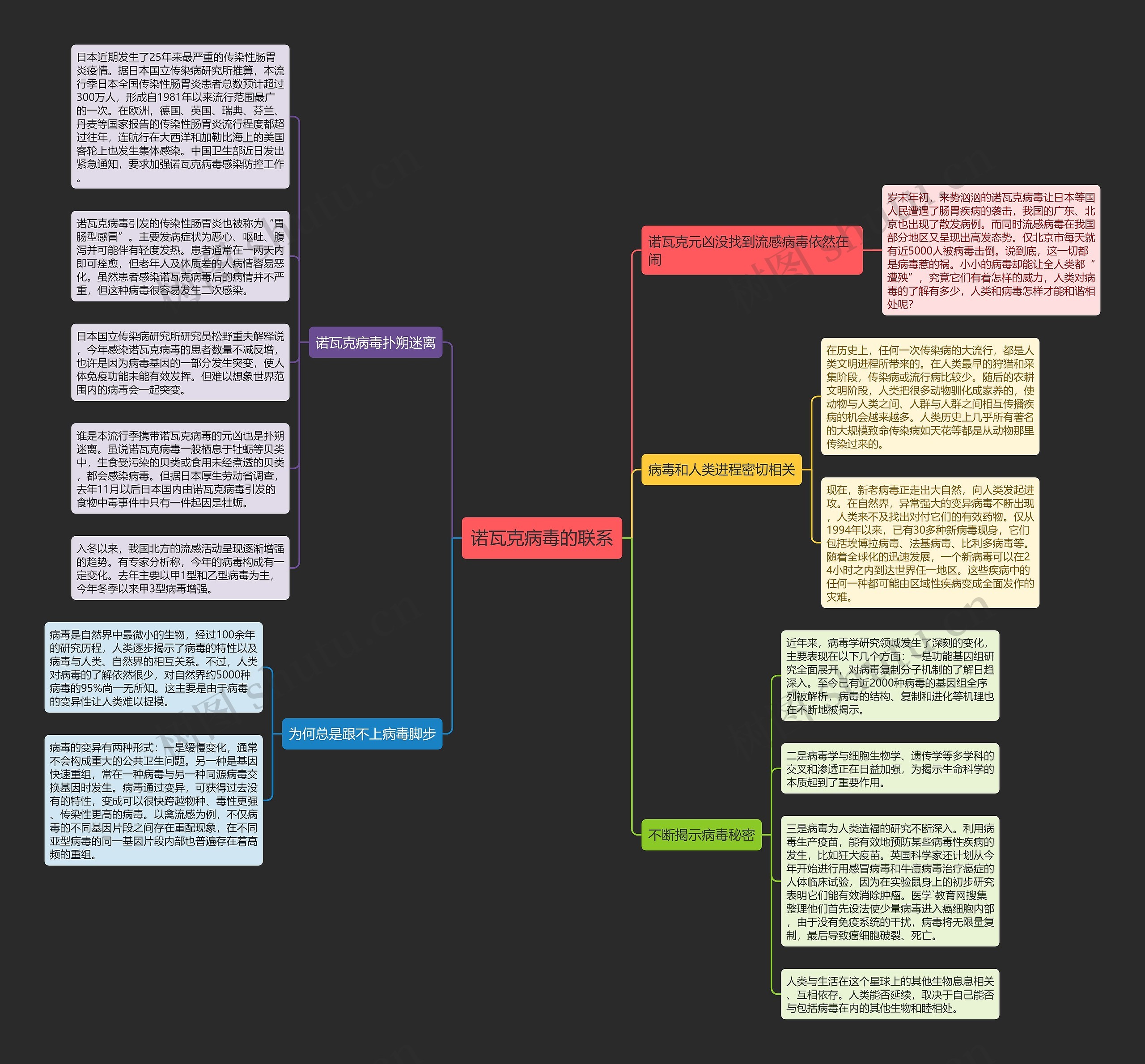 诺瓦克病毒的联系思维导图