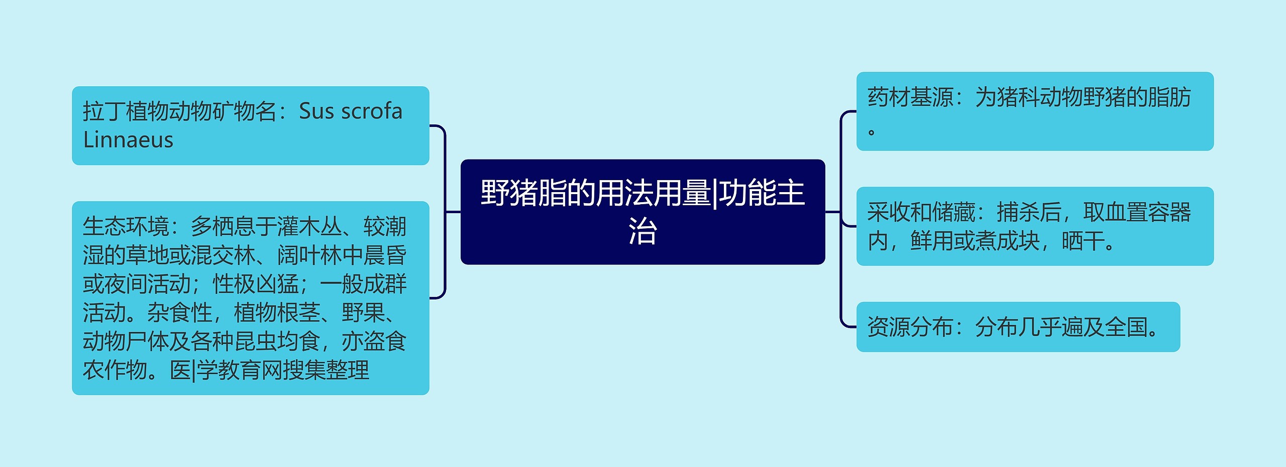 野猪脂的用法用量|功能主治思维导图