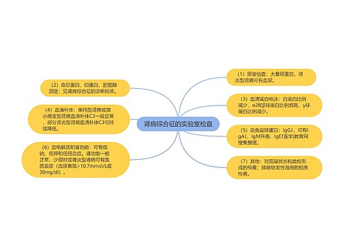 肾病综合征的实验室检查