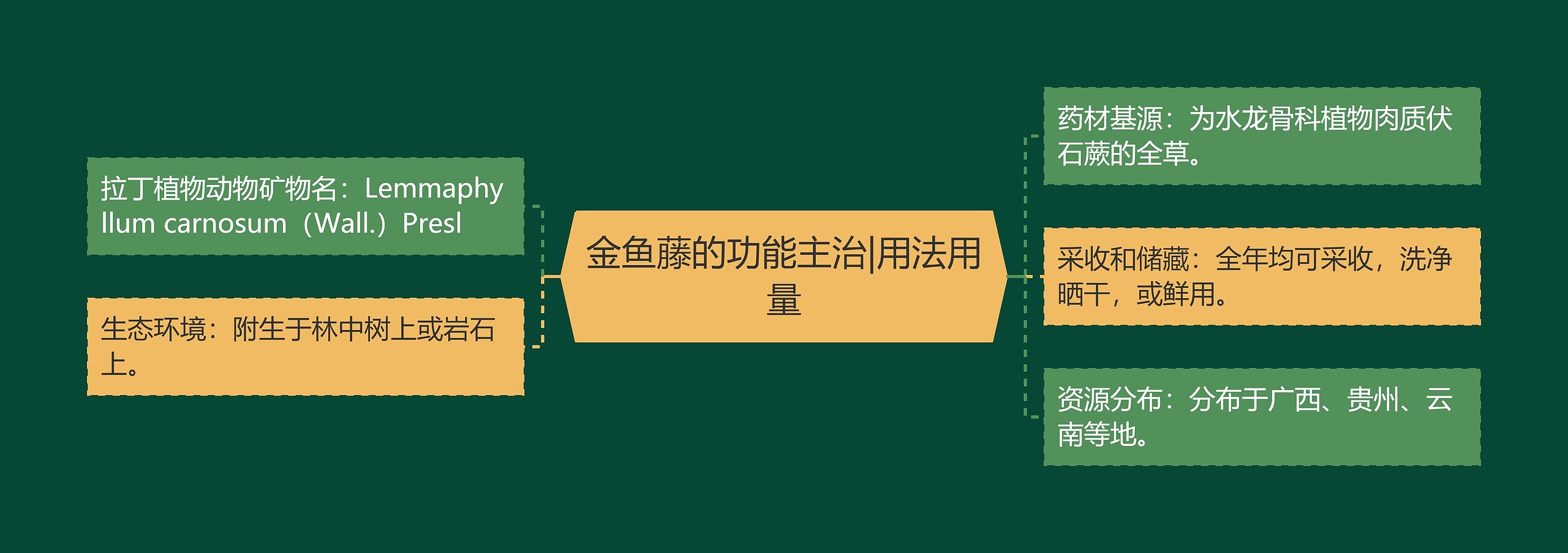 金鱼藤的功能主治|用法用量 金鱼藤的功能主治|用法用量