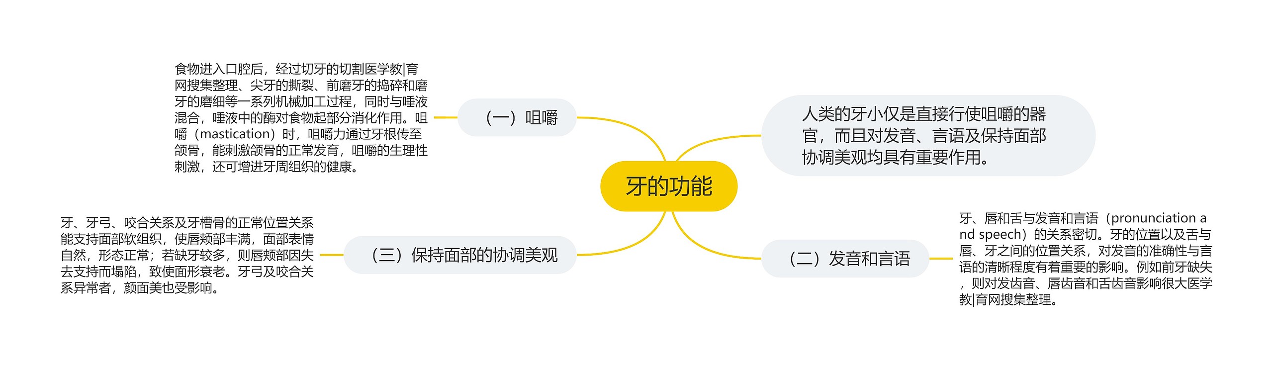 牙的功能 牙的功能