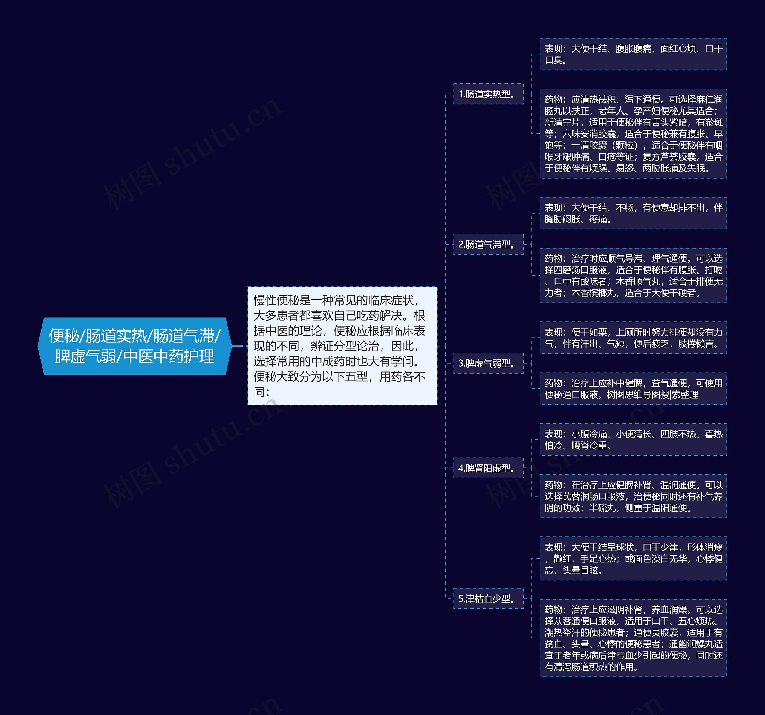 便秘/肠道实热/肠道气滞/脾虚气弱/中医中药护理思维导图