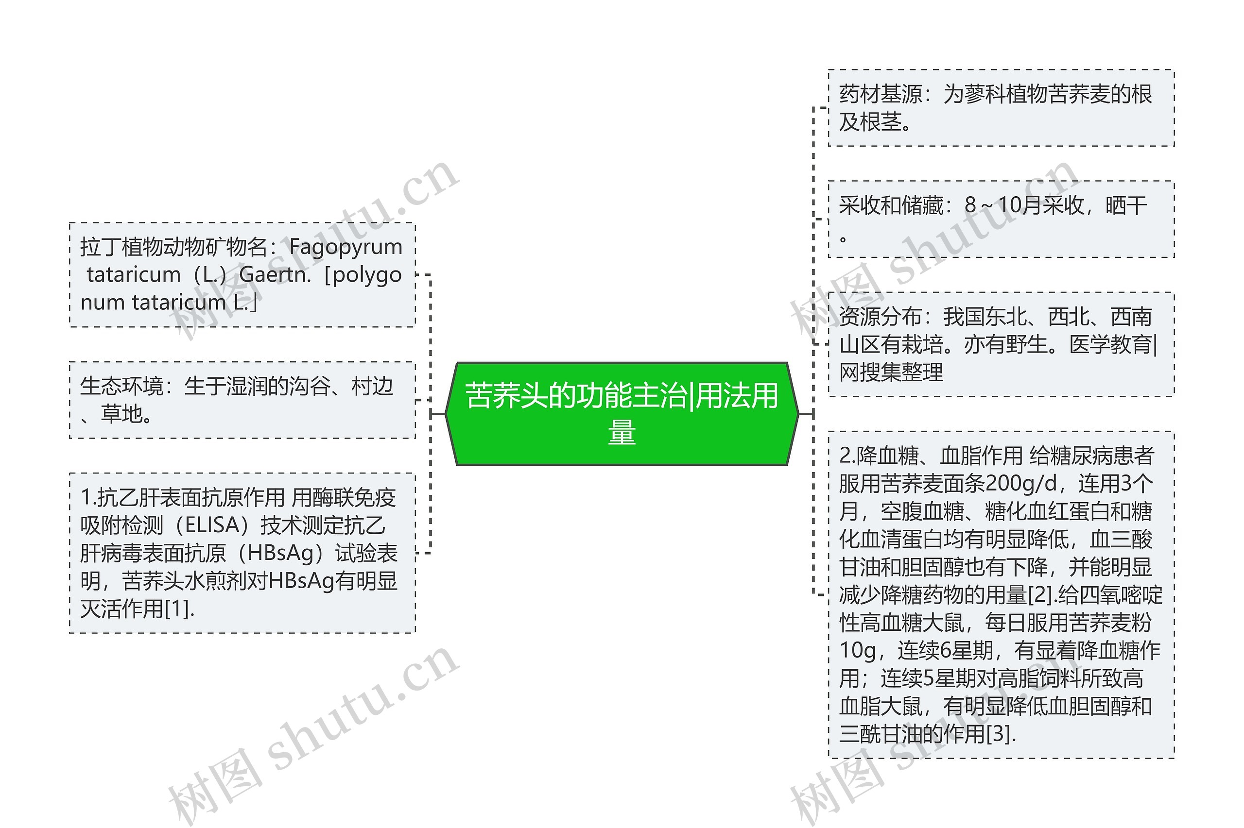 苦荞头的功能主治|用法用量思维导图