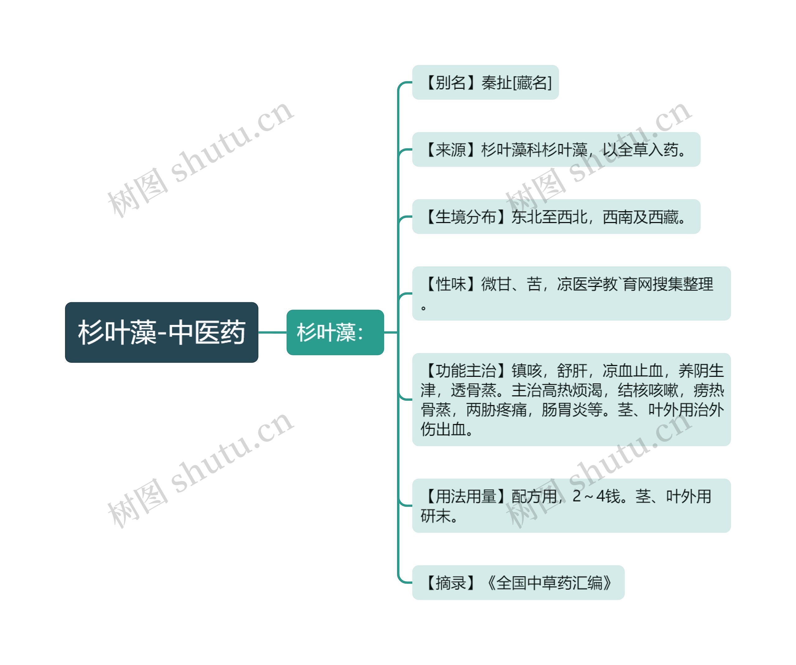 杉叶藻-中医药思维导图