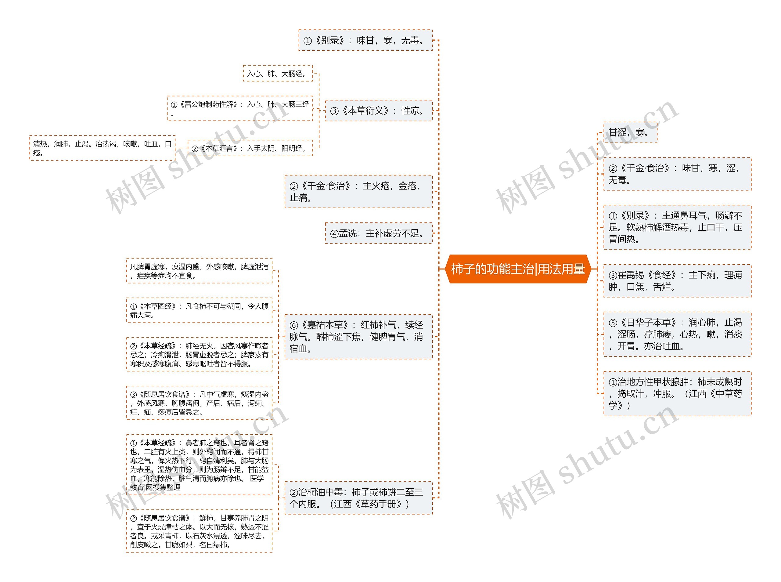 柿子的功能主治|用法用量思维导图