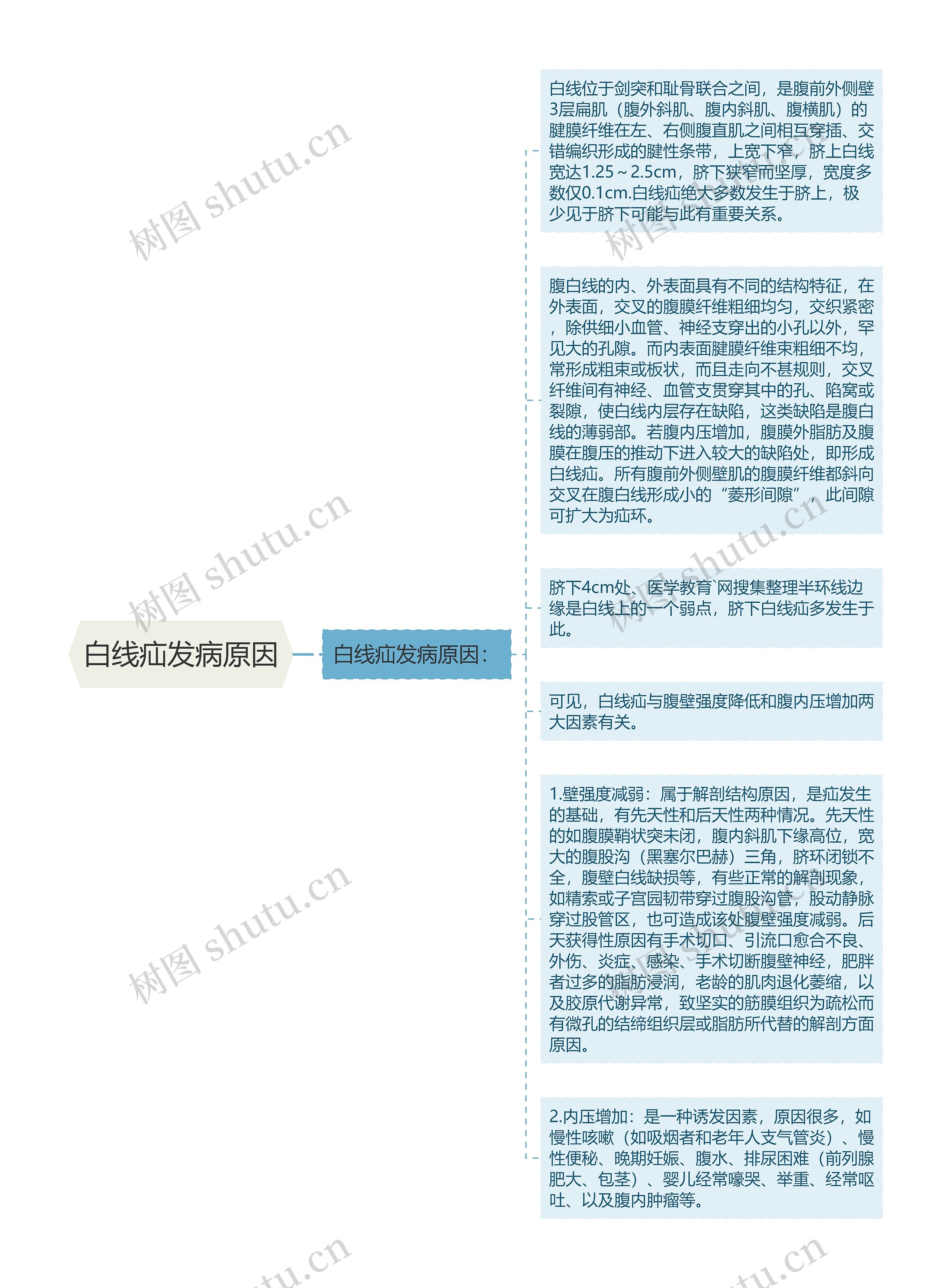 白线疝发病原因思维导图