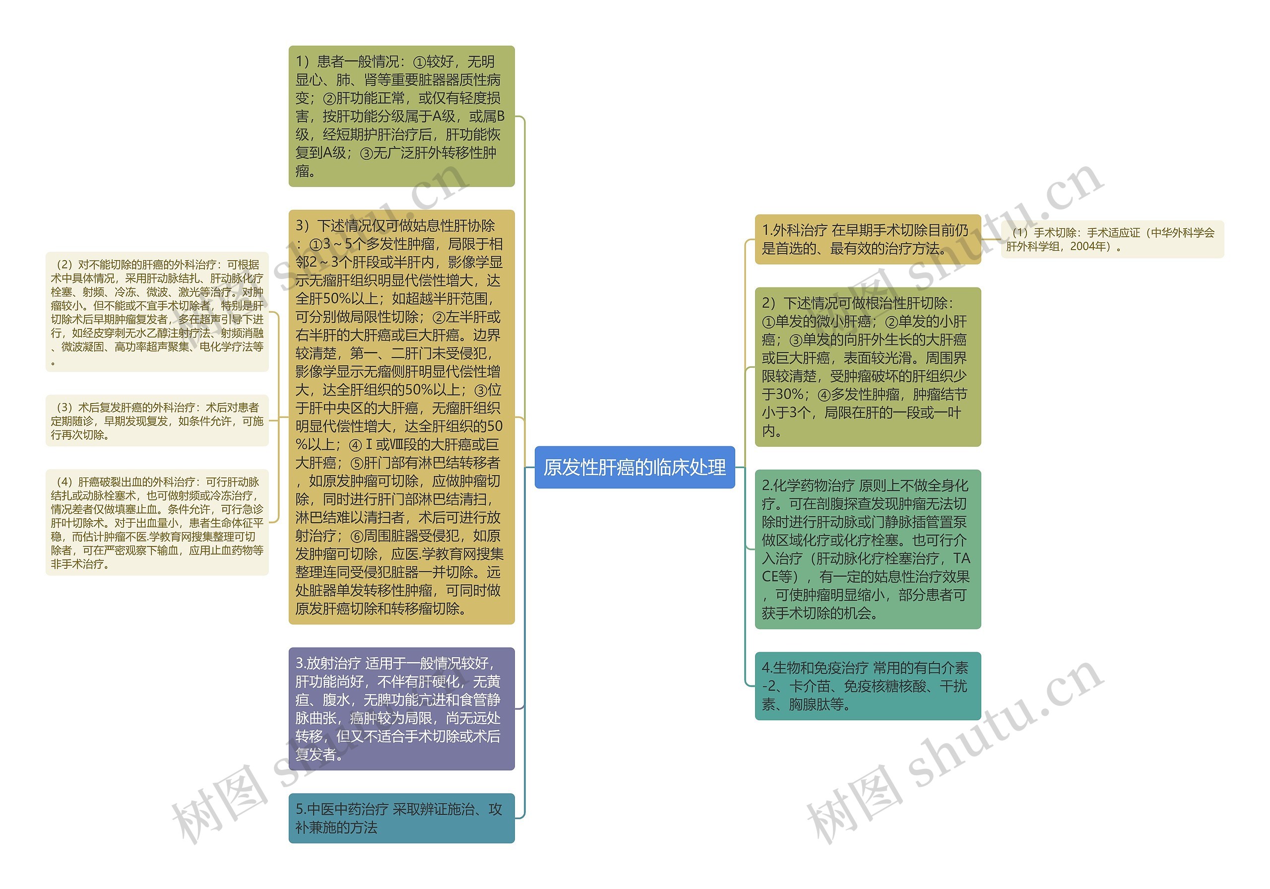 原发性肝癌的临床处理