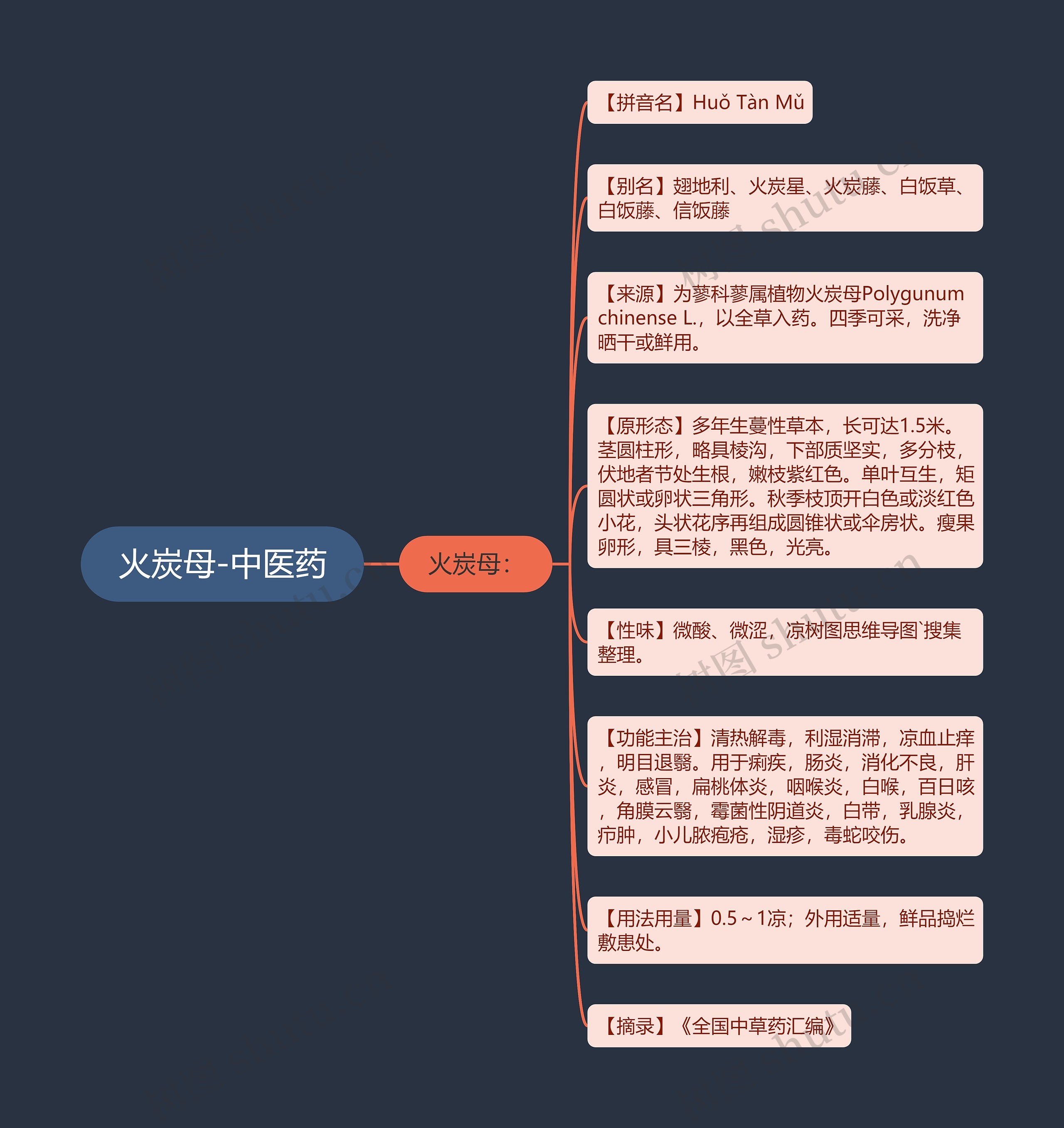 火炭母-中医药 火炭母-中医药