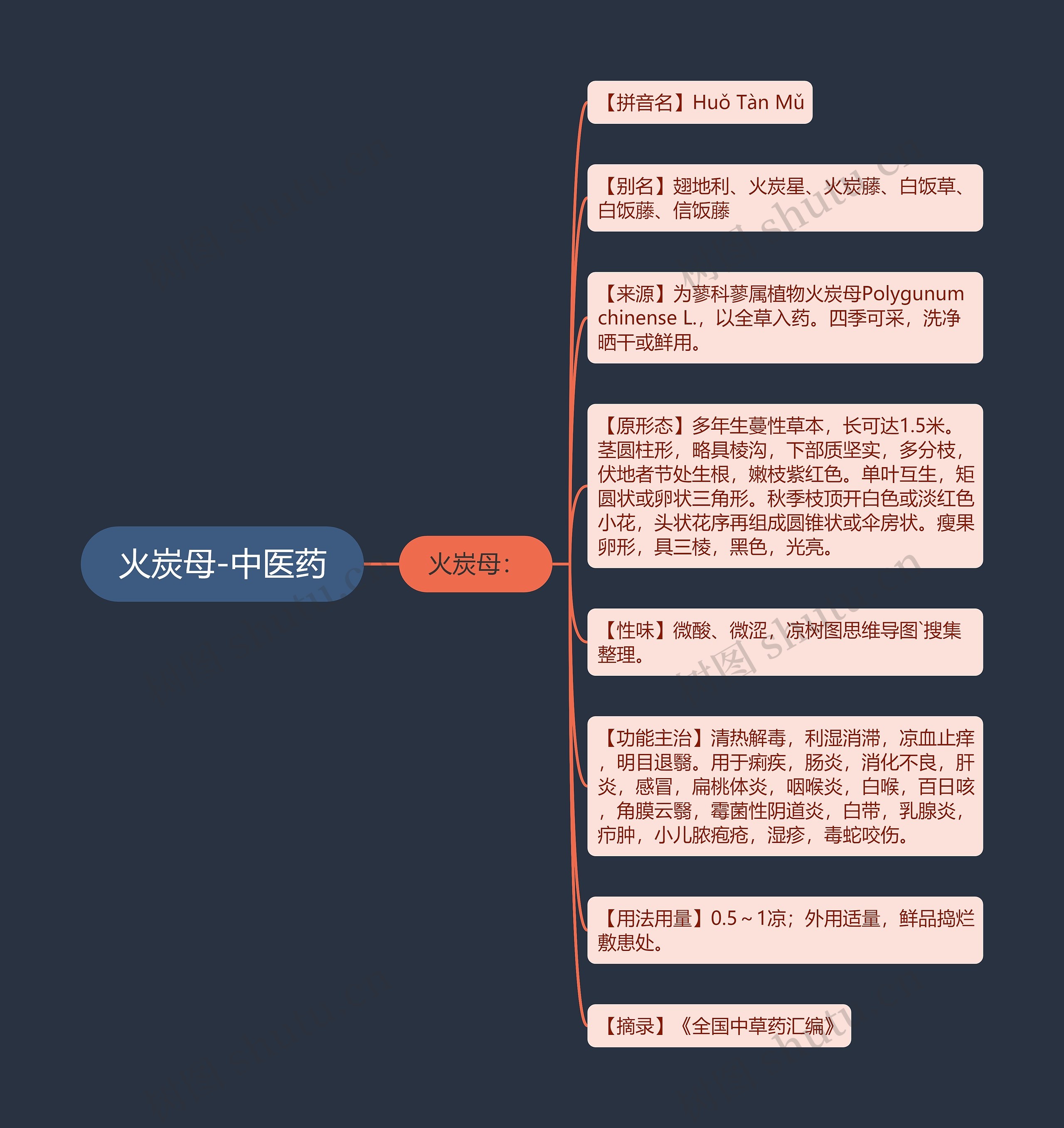 火炭母-中医药思维导图