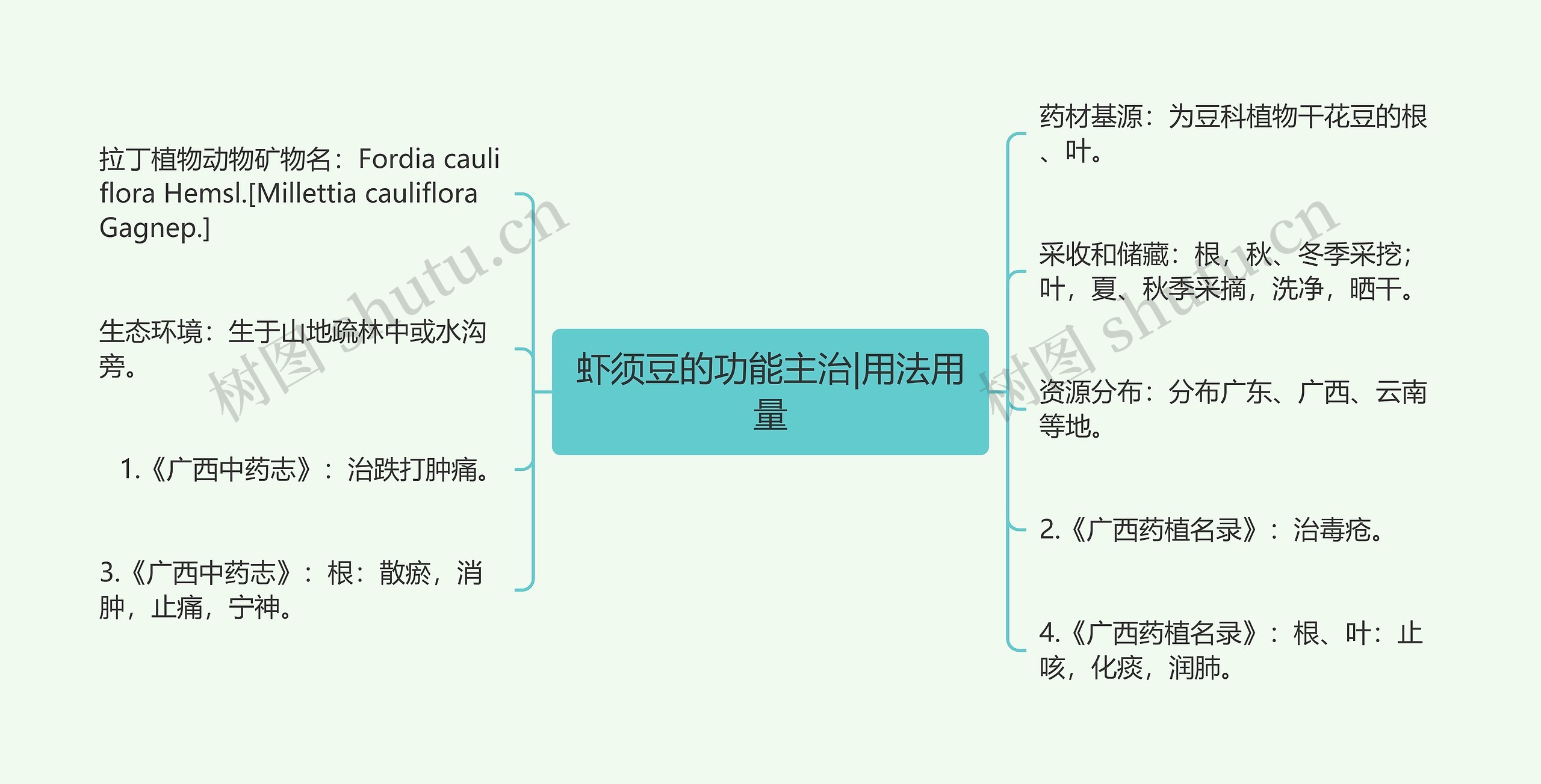 虾须豆的功能主治|用法用量思维导图