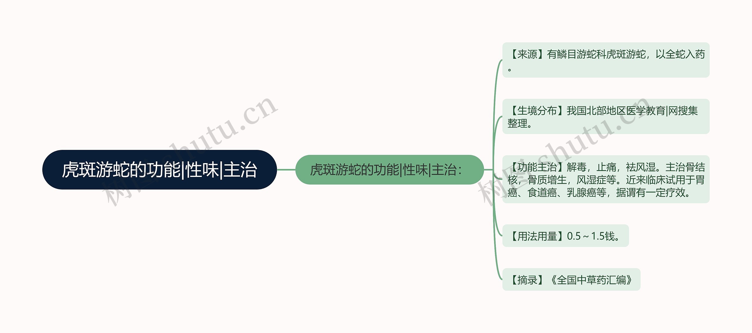 虎斑游蛇的功能|性味|主治思维导图