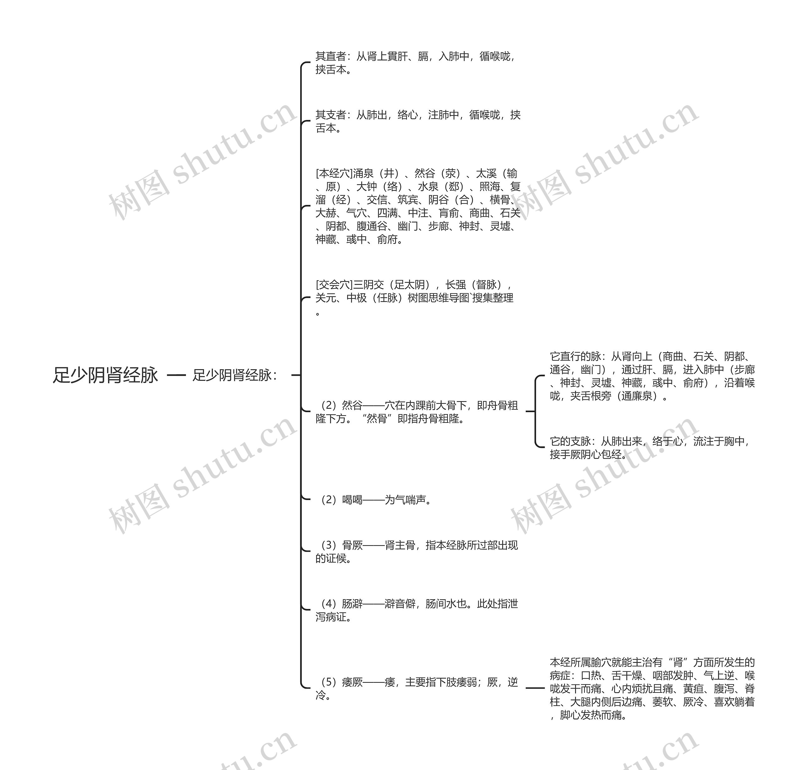 足少阴肾经脉思维导图