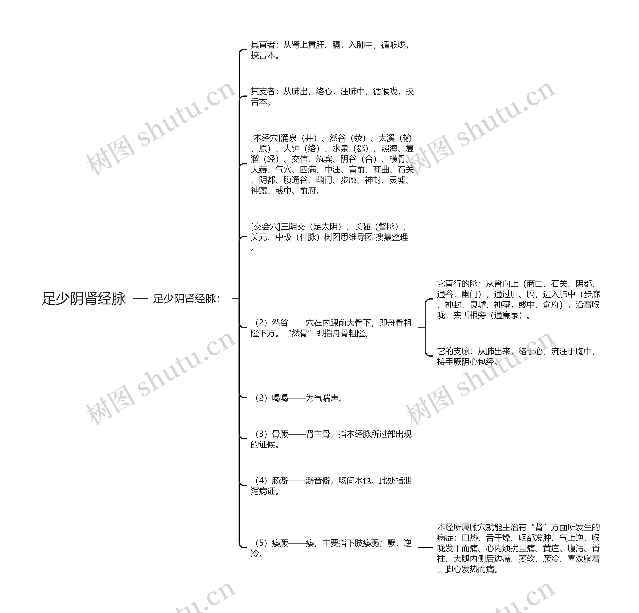 足少阴肾经脉 足少阴肾经脉